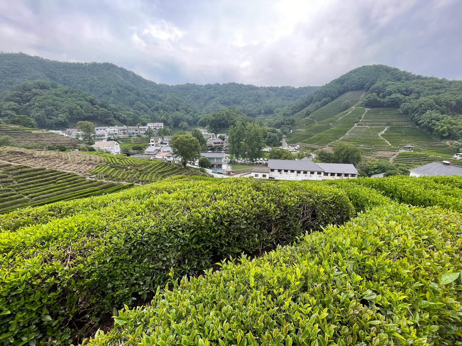 Main view at Hangzhou Longjingshan Park Hangzhou — travel photo