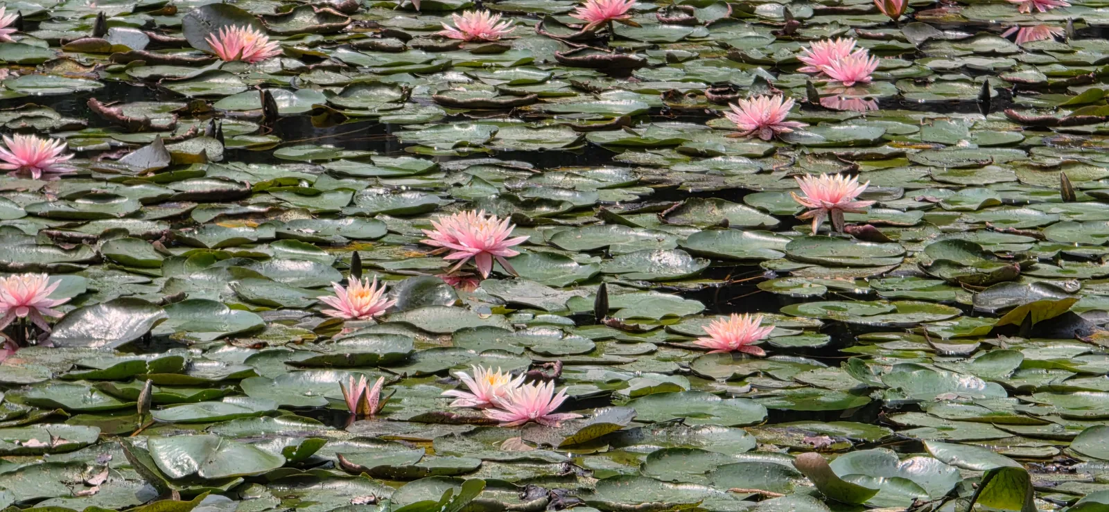 Details at Hangzhou Parterre Hangzhou — travel photo