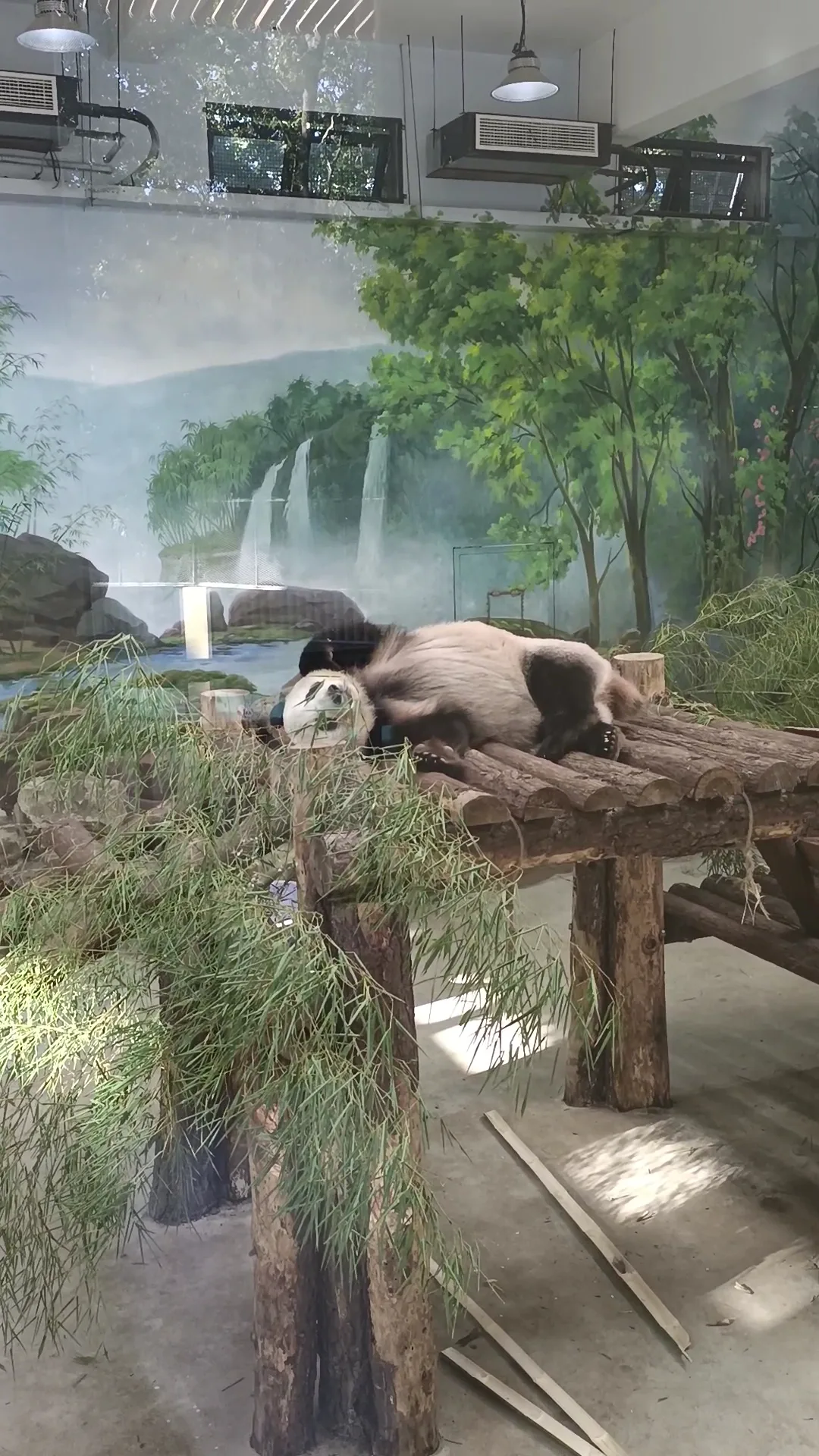 Main view at Hangzhou Zoo Hangzhou — travel photo