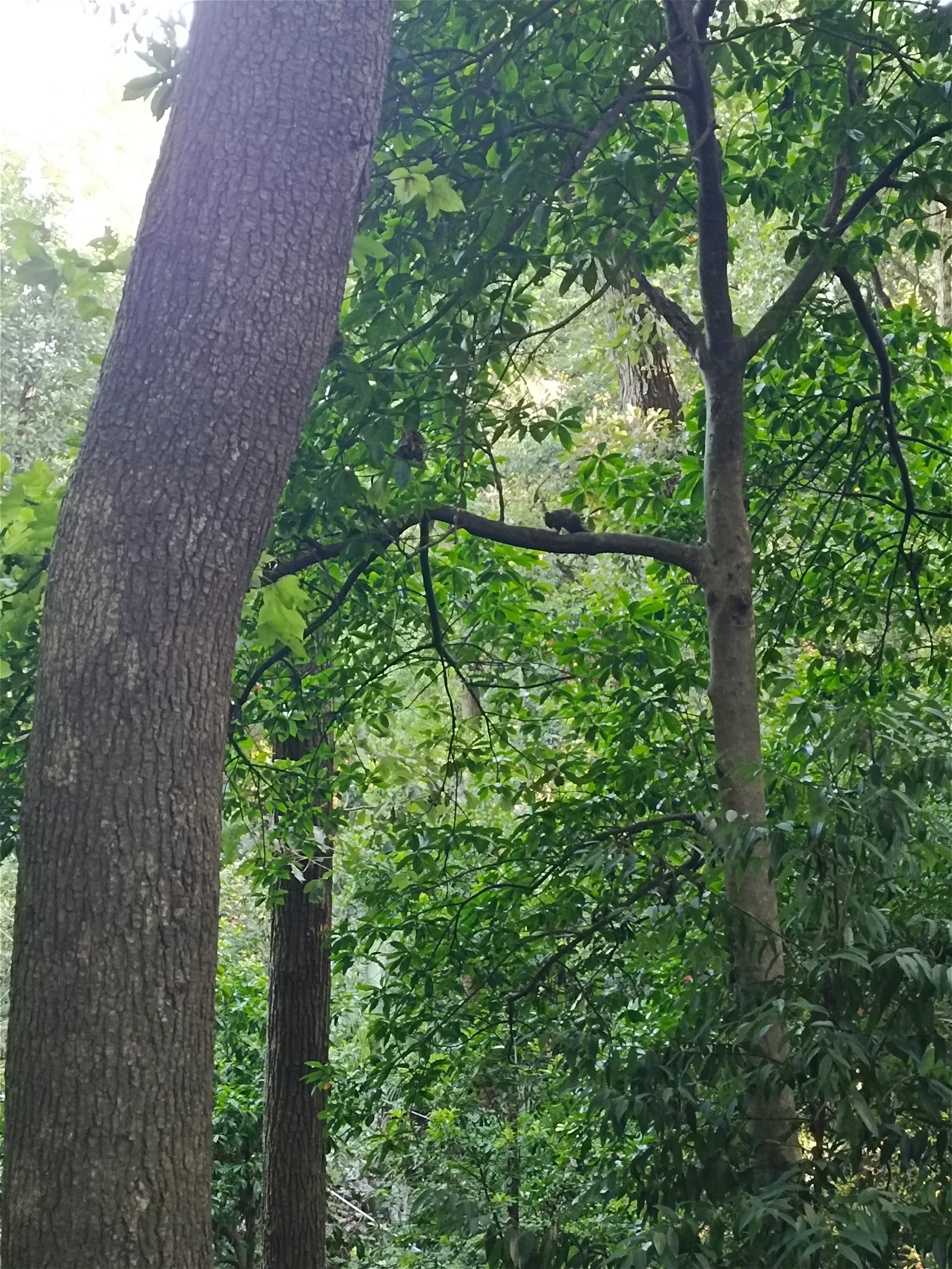 Interior at Hangzhou Zoo Hangzhou — travel photo
