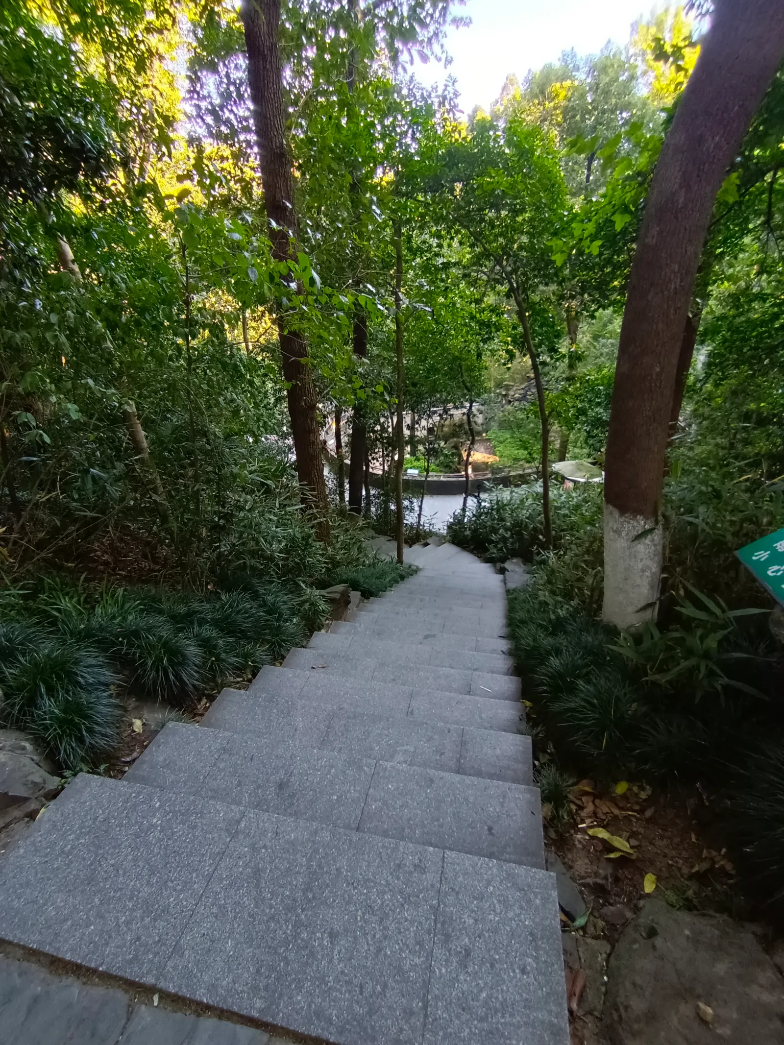 Details at Hangzhou Zoo Hangzhou — travel photo