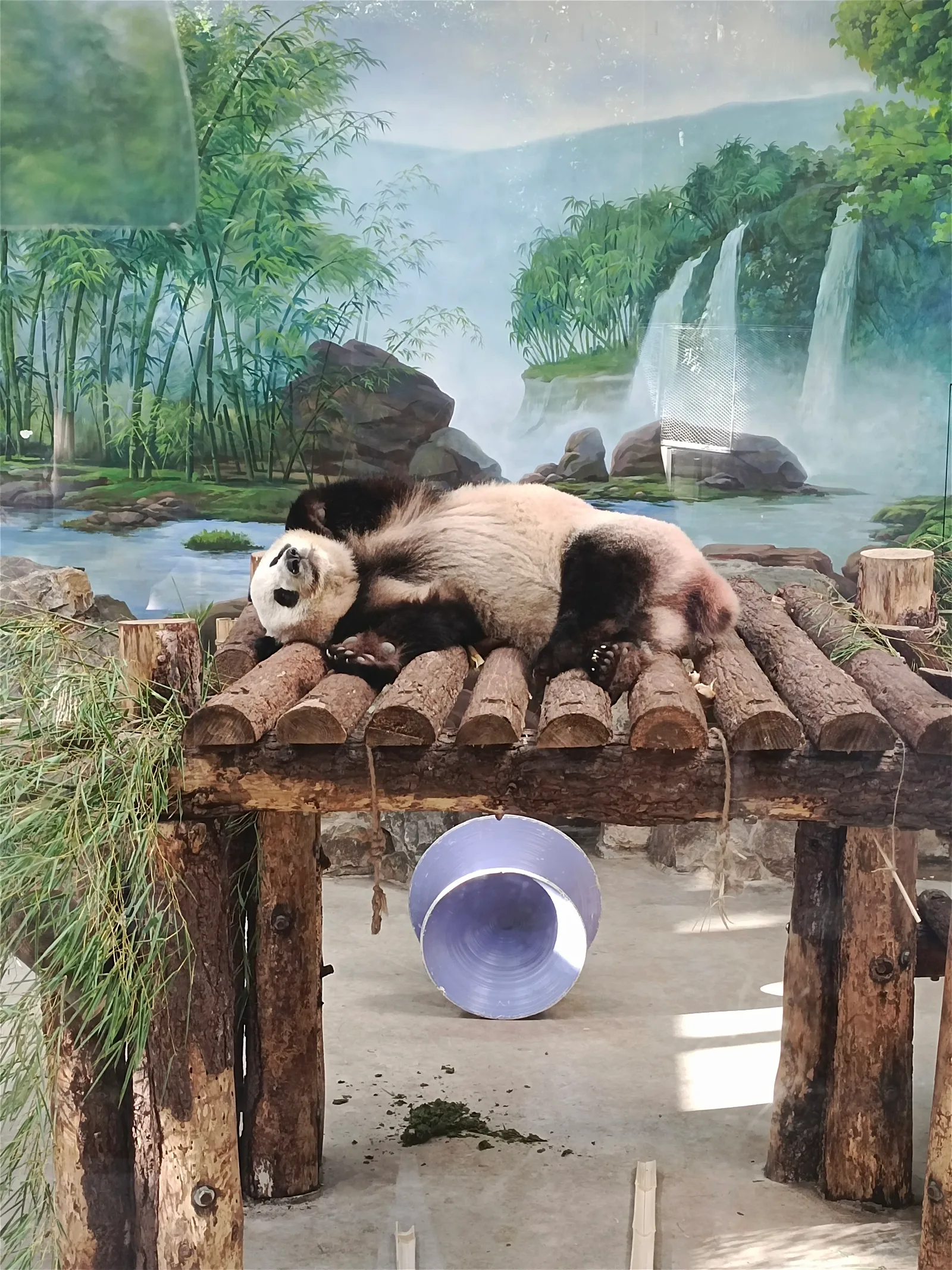 Atmosphere at Hangzhou Zoo Hangzhou — travel photo
