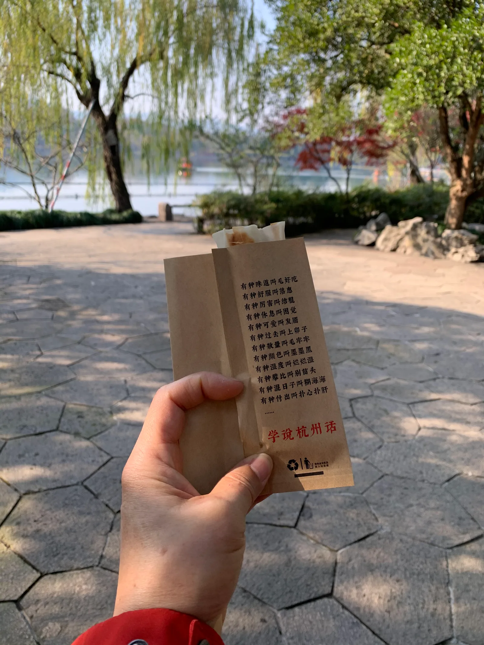 Atmosphere at Huagang Park （East Gate） Hangzhou — travel photo