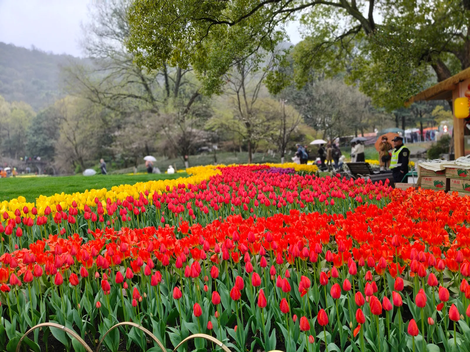 Main view at Huagang Park Hangzhou — travel photo