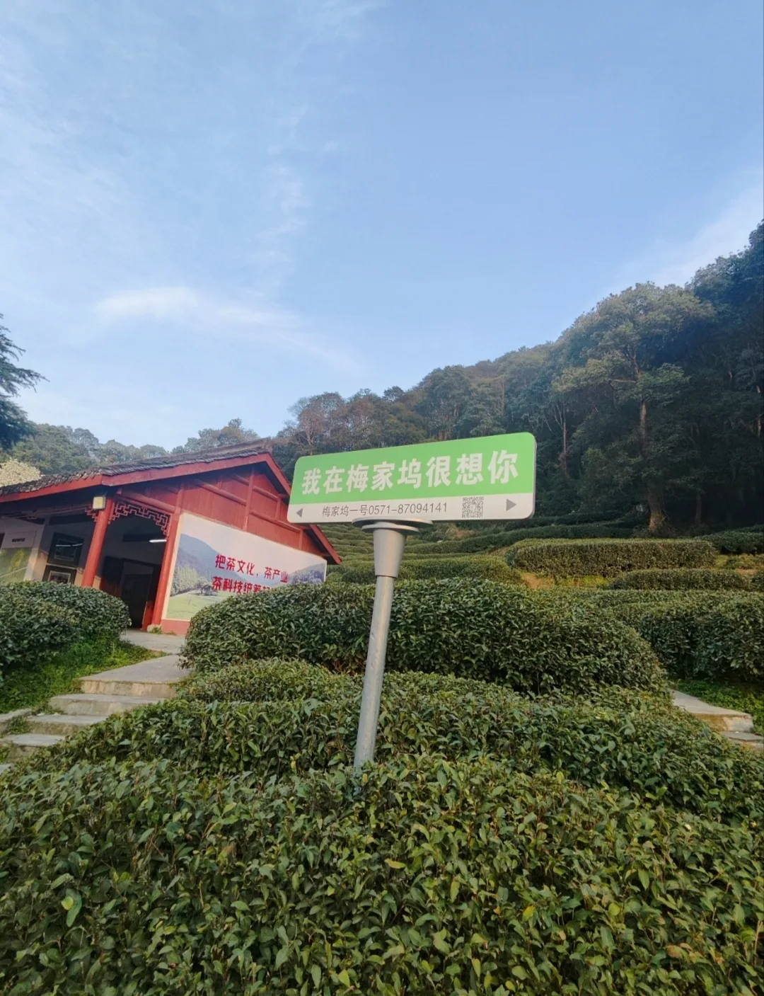 Details at Meijiawu Hangzhou — travel photo