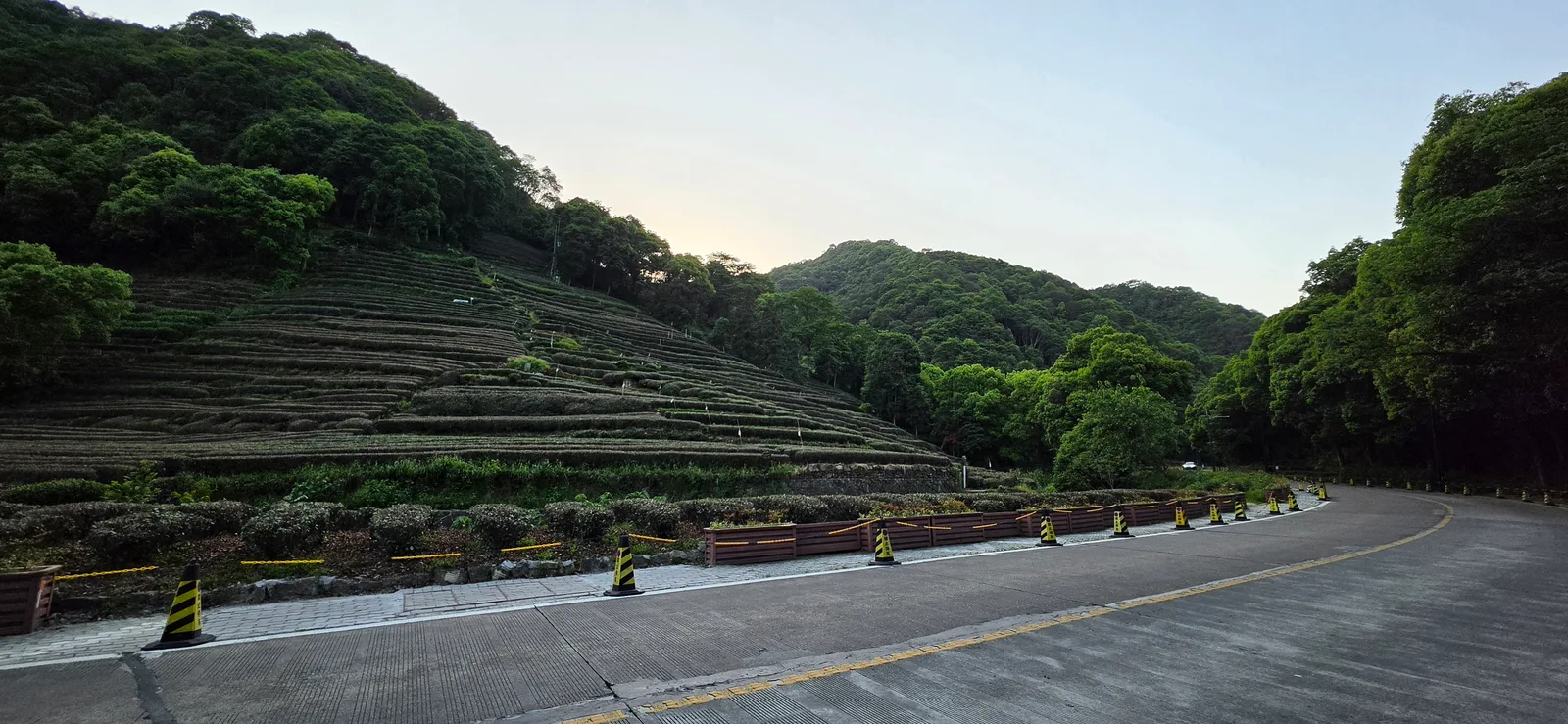 Atmosphere at Meijiawu Hangzhou — travel photo