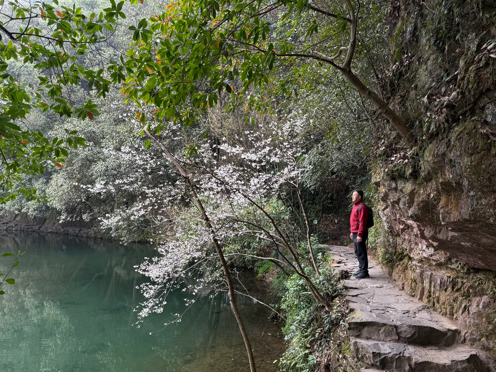 Interior at Nine Creeks in Misty Forest Hangzhou — travel photo