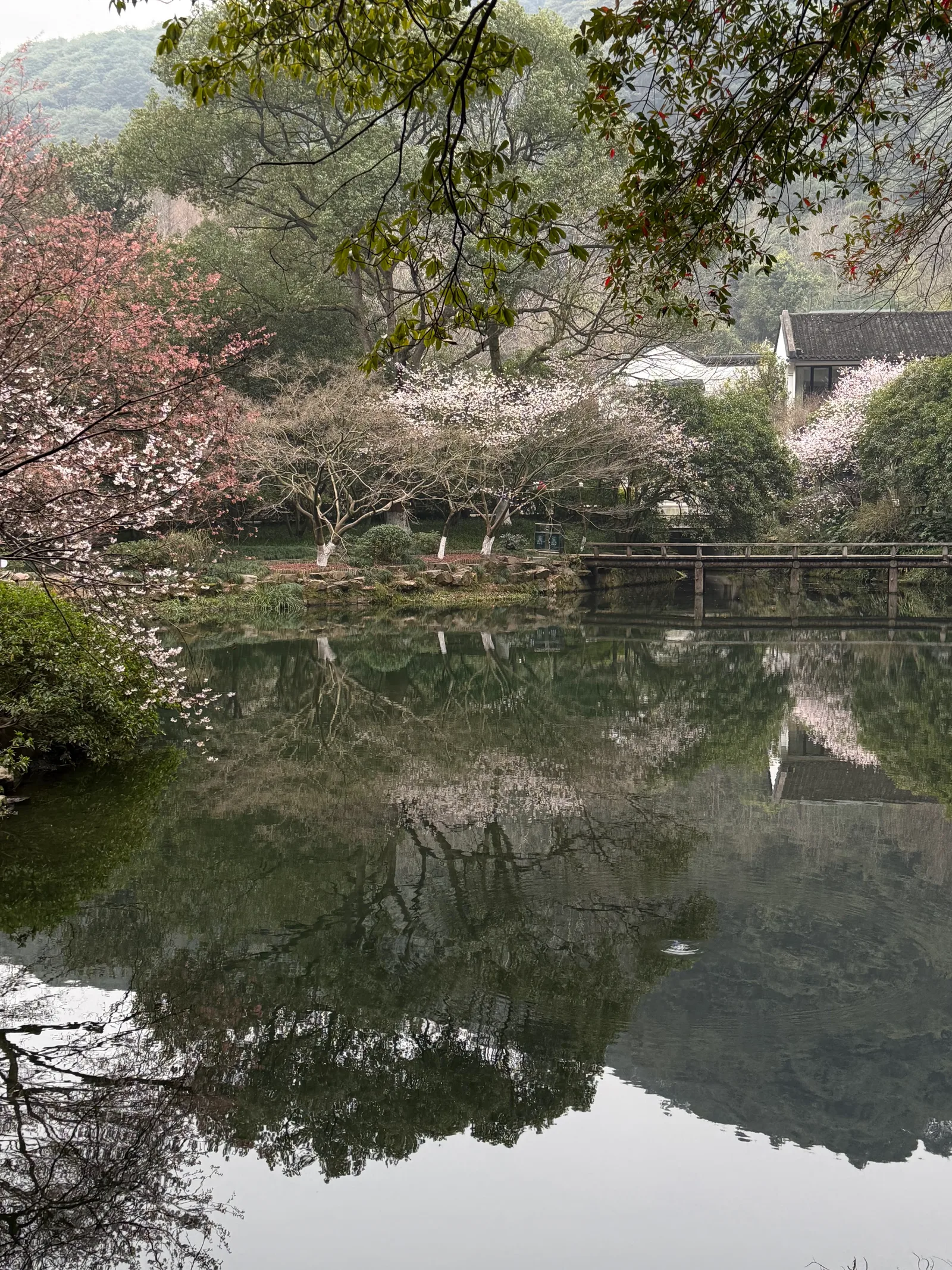 Details at Nine Creeks in Misty Forest Hangzhou — travel photo
