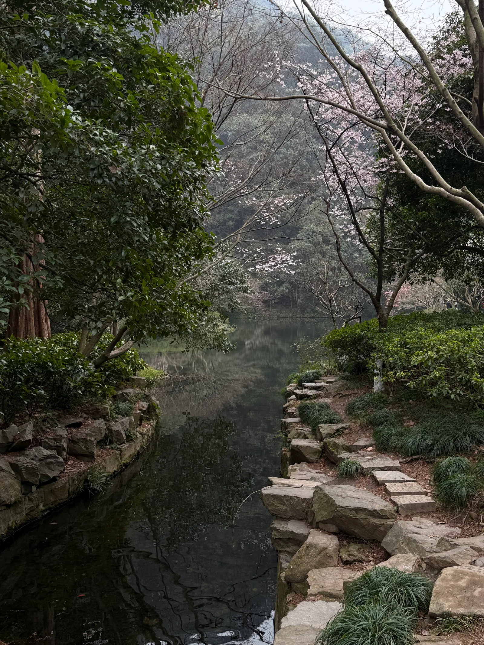 Atmosphere at Nine Creeks in Misty Forest Hangzhou — travel photo