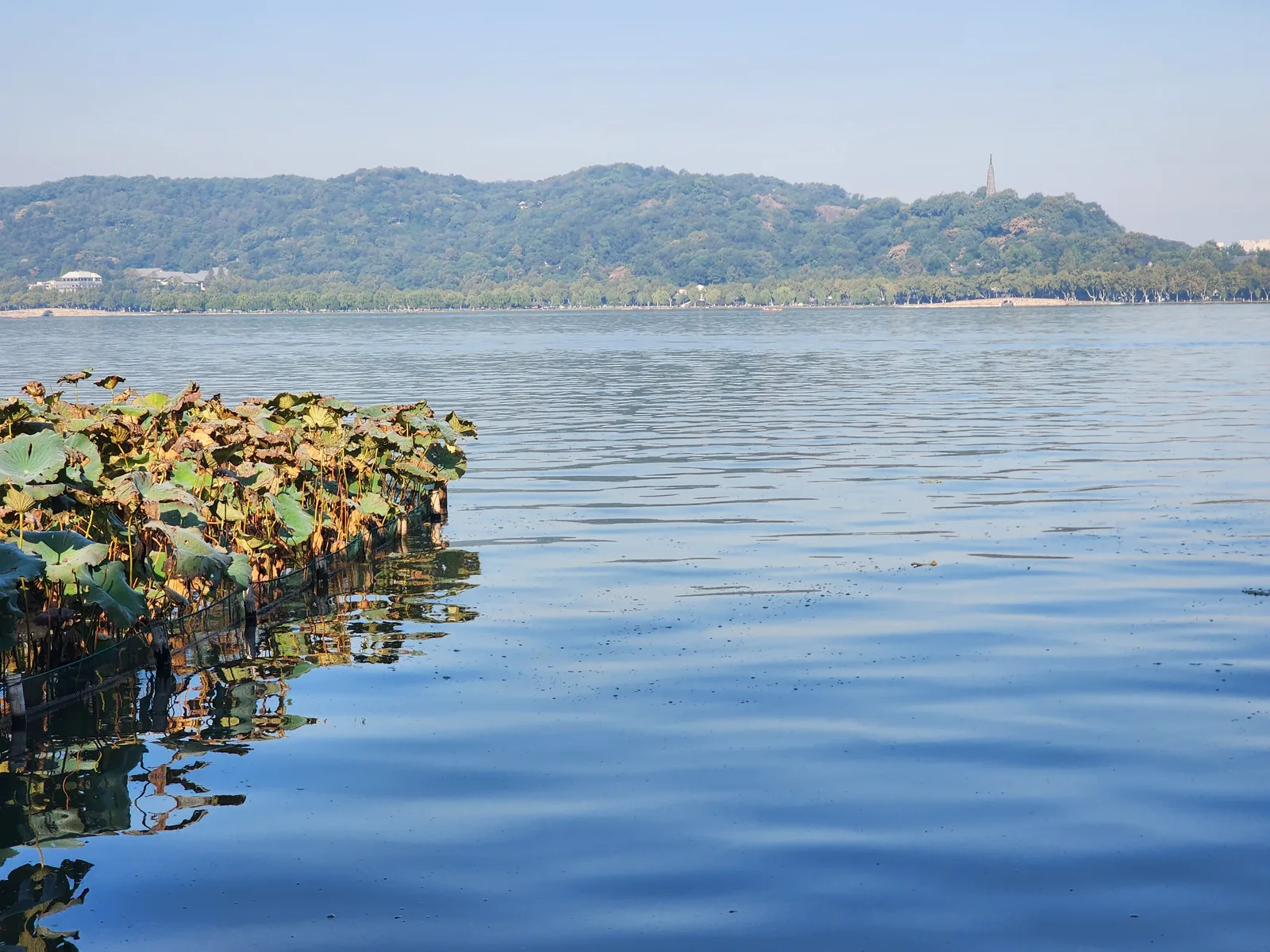 Main view at No.4 Park Hangzhou — travel photo