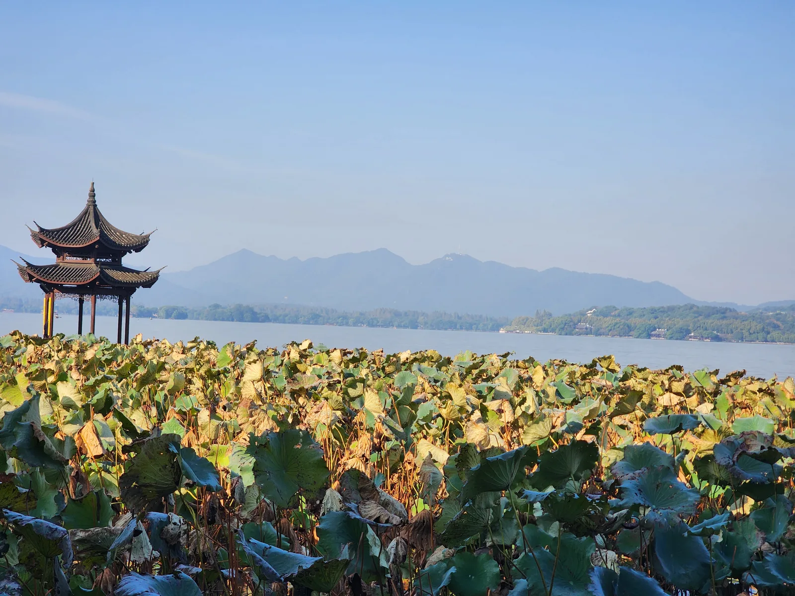 Atmosphere at No.4 Park Hangzhou — travel photo