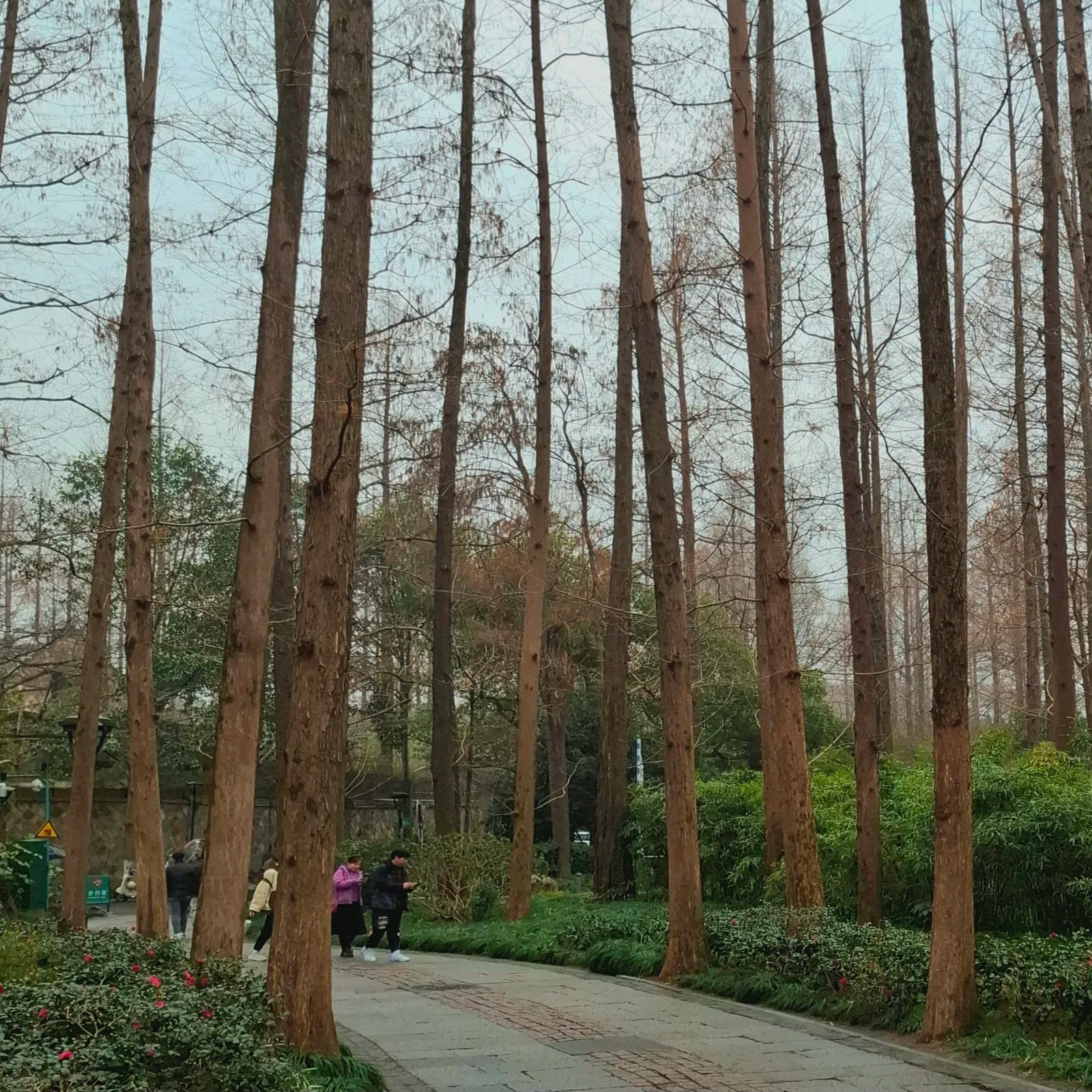 Interior at Orioles Singing in the Willows Hangzhou — travel photo