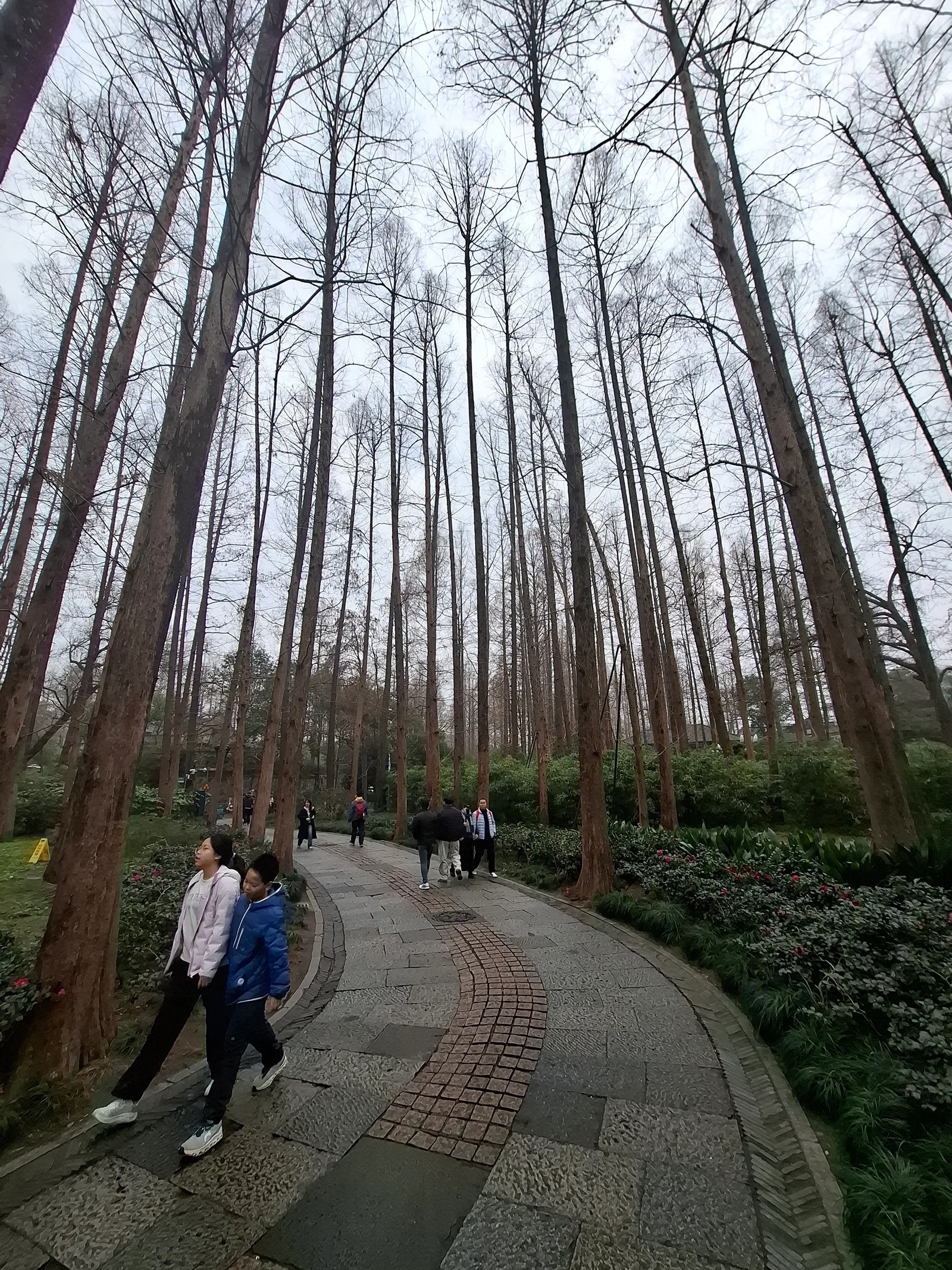 Details at Orioles Singing in the Willows Hangzhou — travel photo
