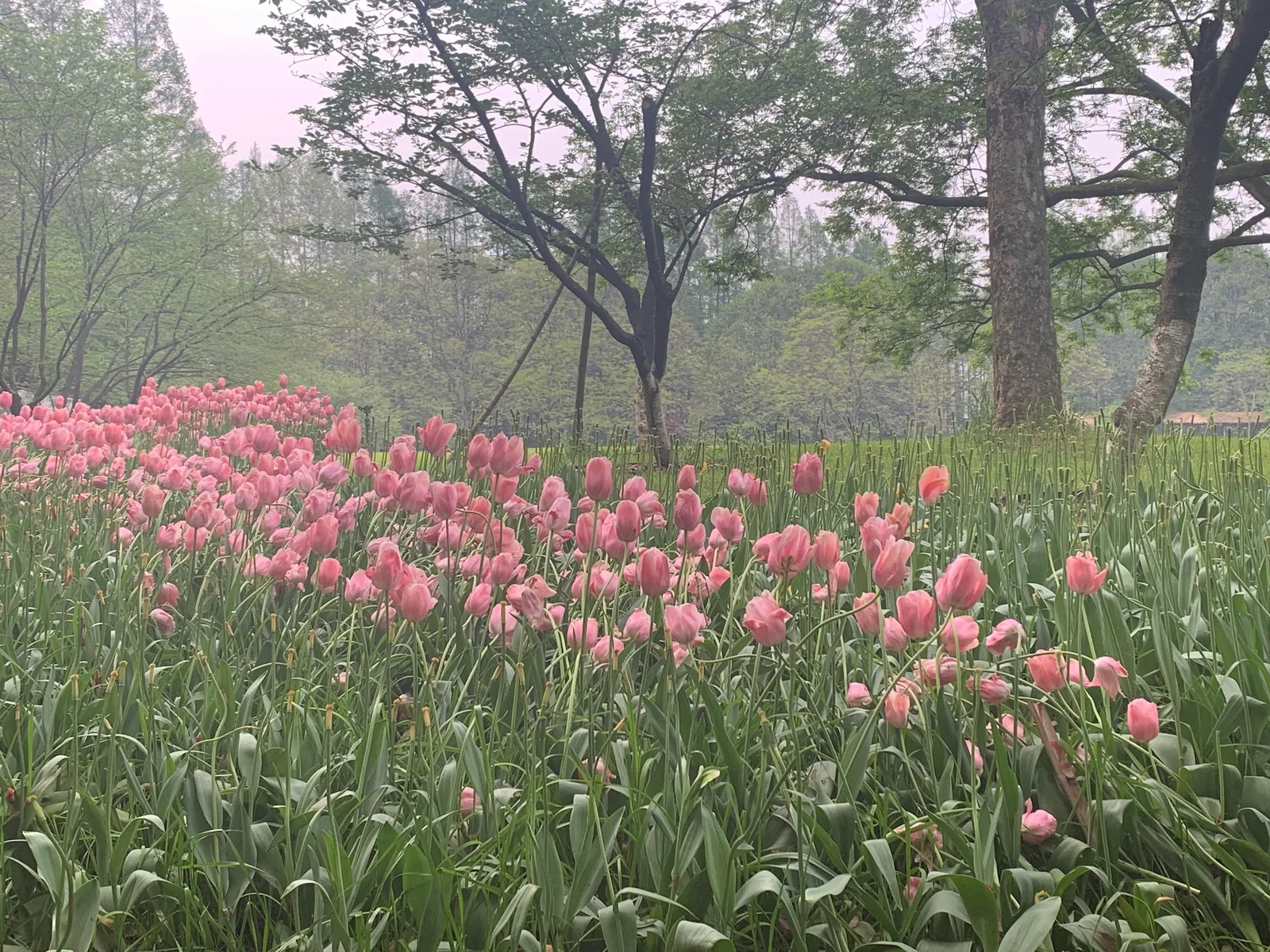 Atmosphere at 武状元坊 Hangzhou — travel photo