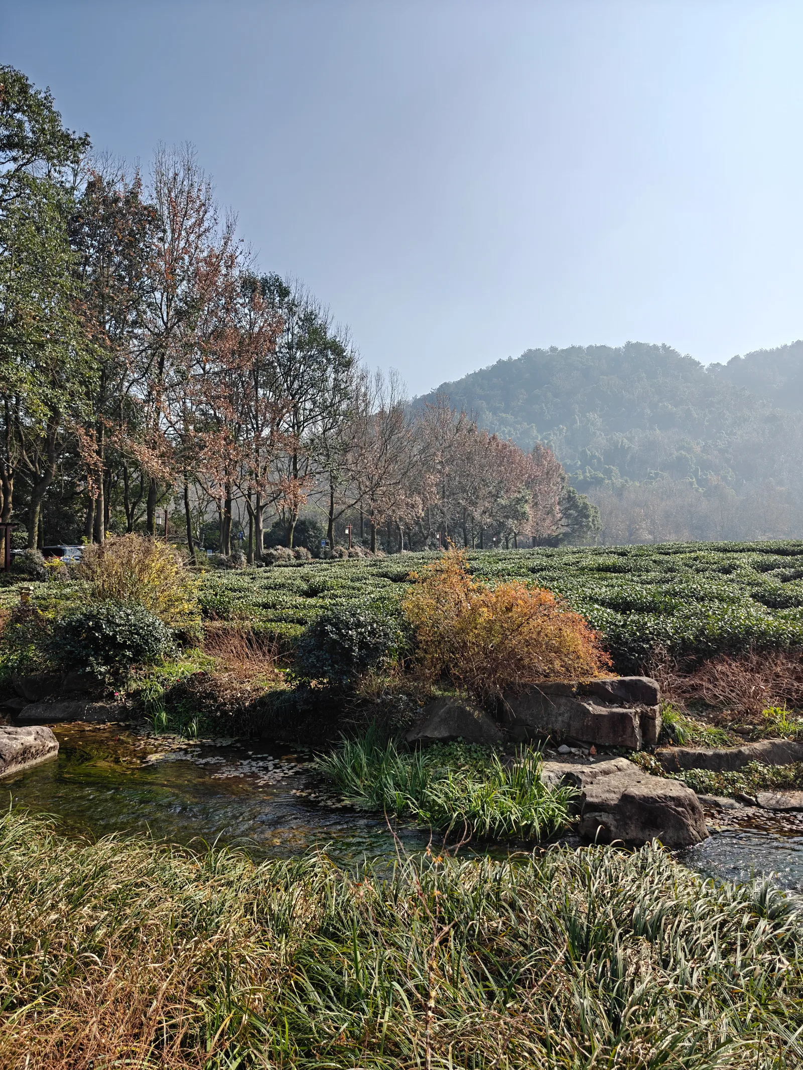 Interior at 中国茶叶博物馆 Hangzhou — travel photo
