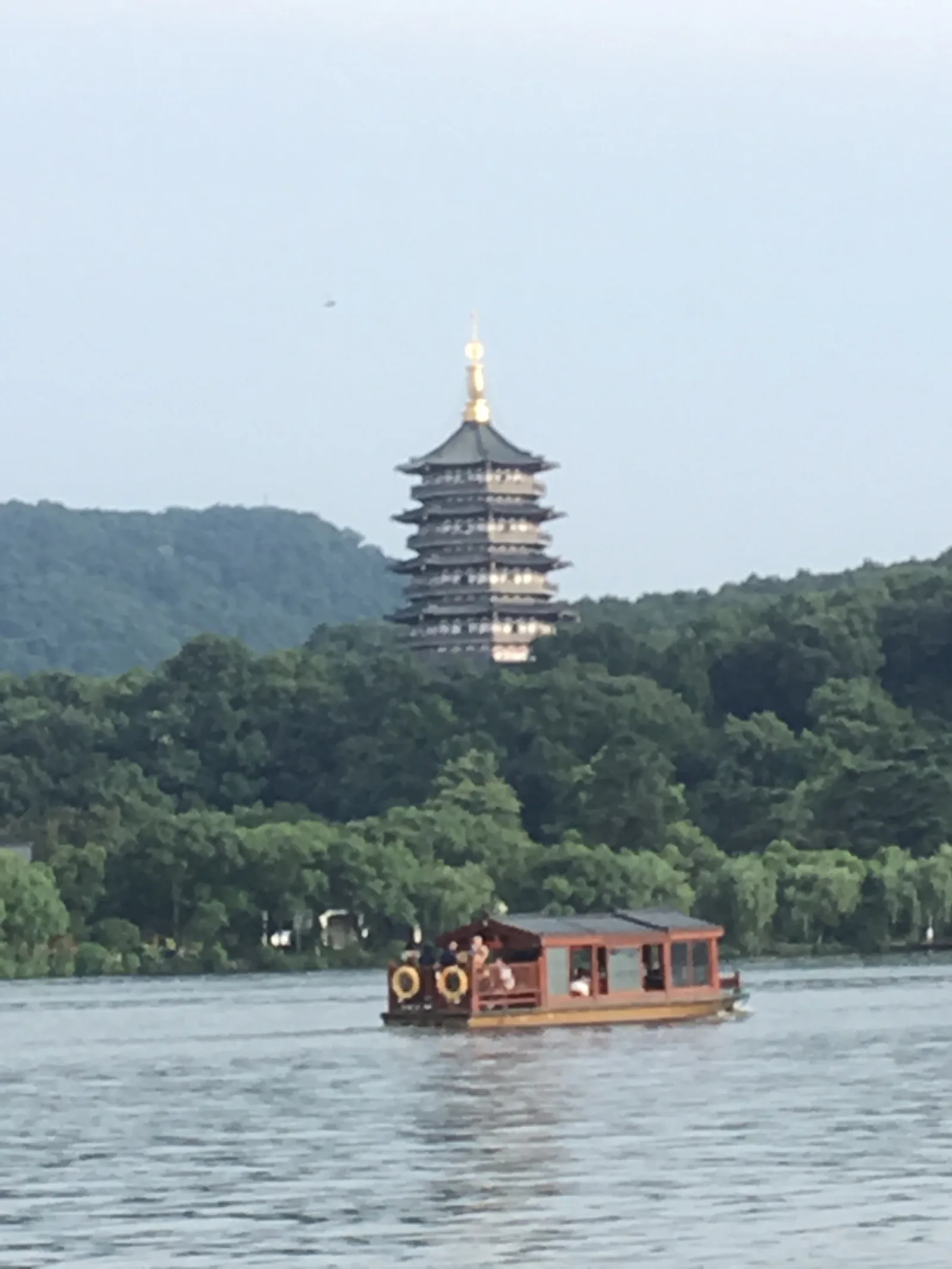 Details at 苏堤 Hangzhou — travel photo