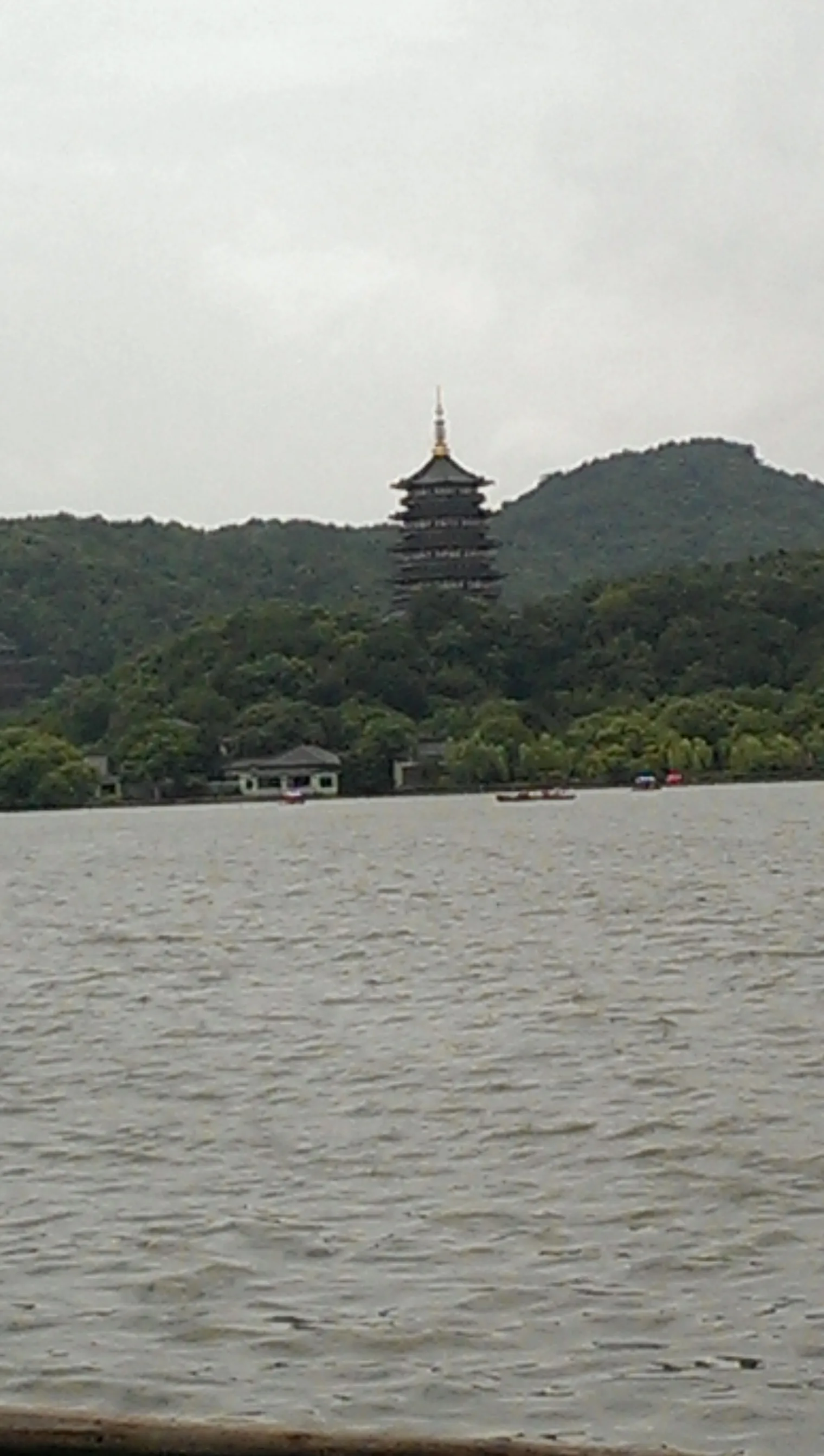 Details at 花港观鱼 Hangzhou — travel photo