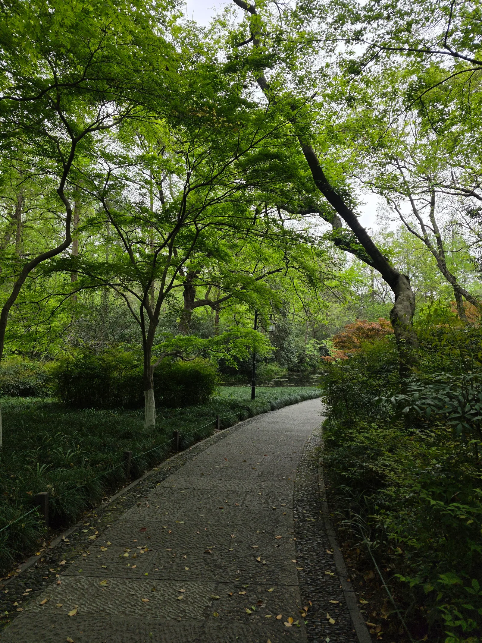 Atmosphere at Taiziwan Park Hangzhou — travel photo