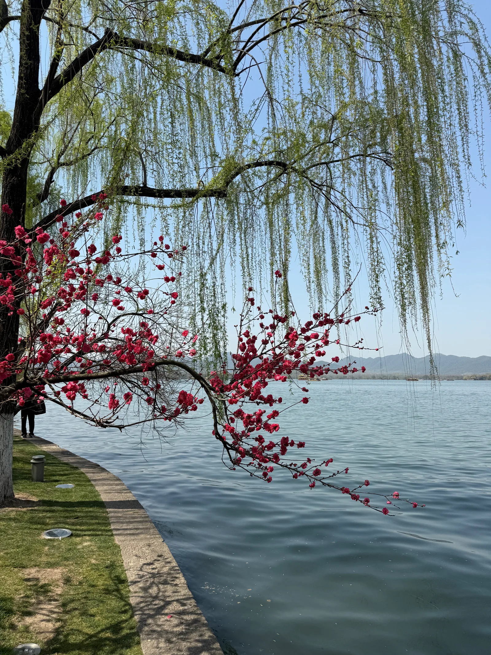 Atmosphere at West Lake Hangzhou Benshan Longjing Tea Museum Hangzhou — travel photo