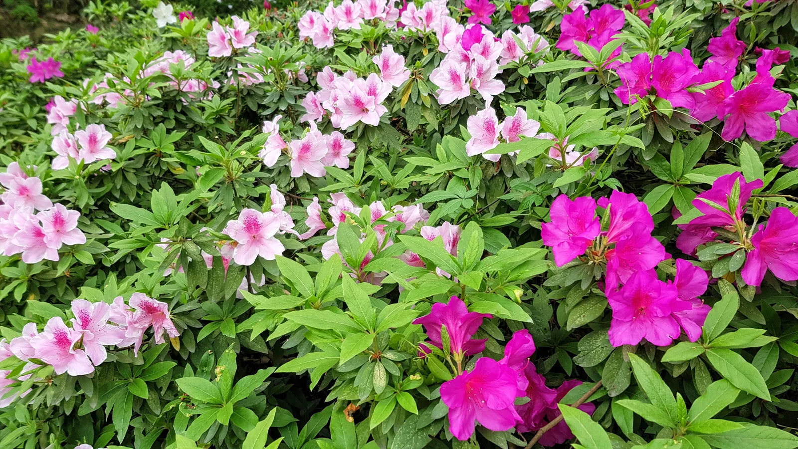 Details at White Crane Peak Hangzhou — travel photo
