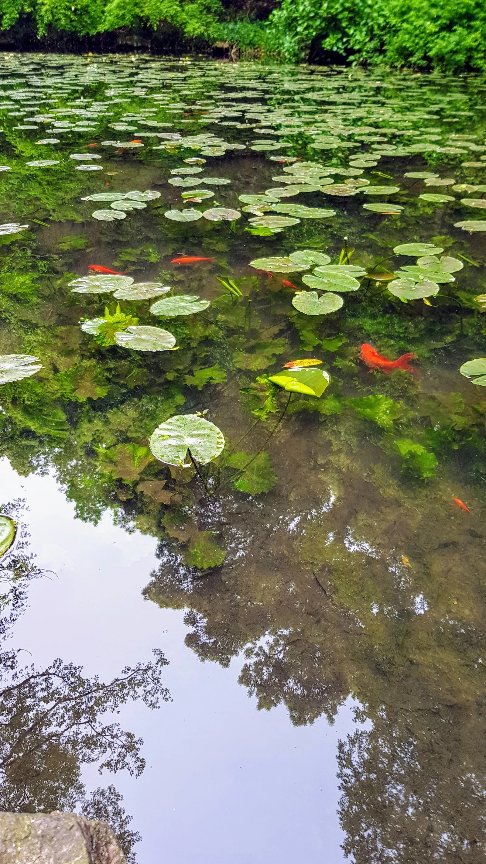 Atmosphere at White Crane Peak Hangzhou — travel photo