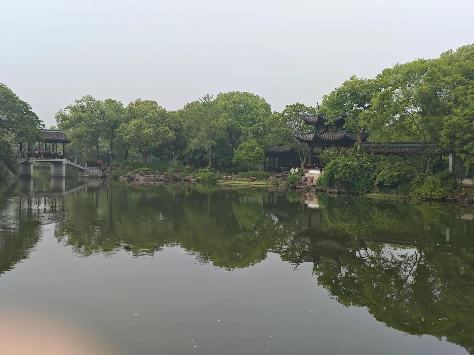 Details at Xixi National Wetland Park Hangzhou — travel photo