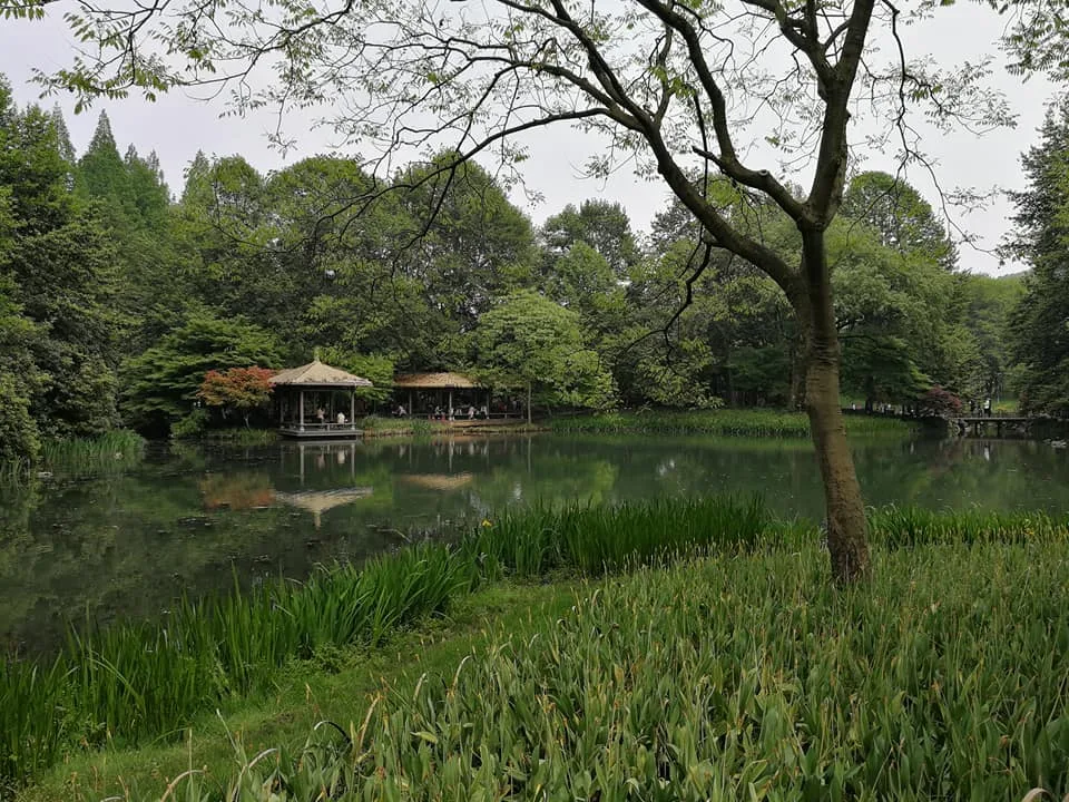 Xixi National Wetland Park — family guide Hangzhou