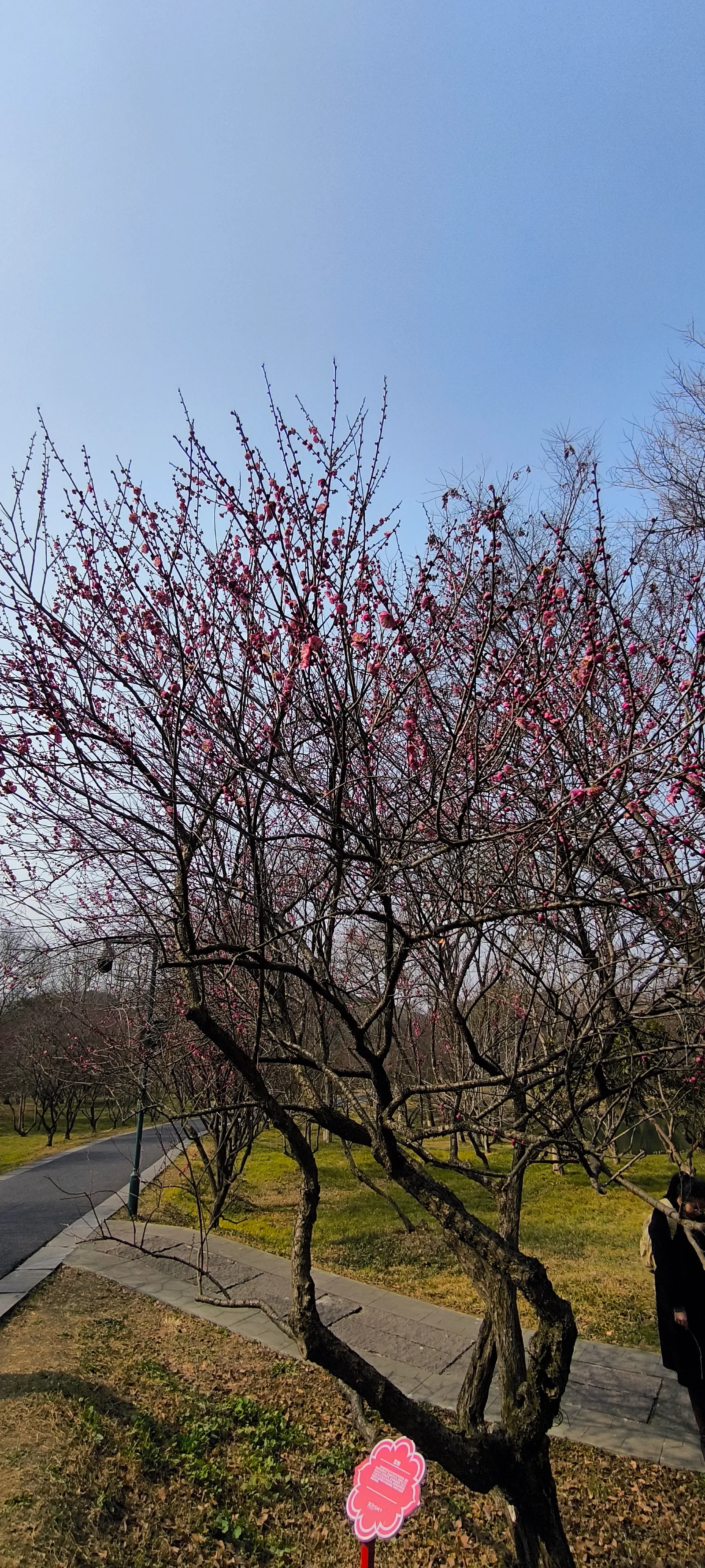 Interior at Xixi Wetland Park （Southeast Gate 1） Hangzhou — travel photo