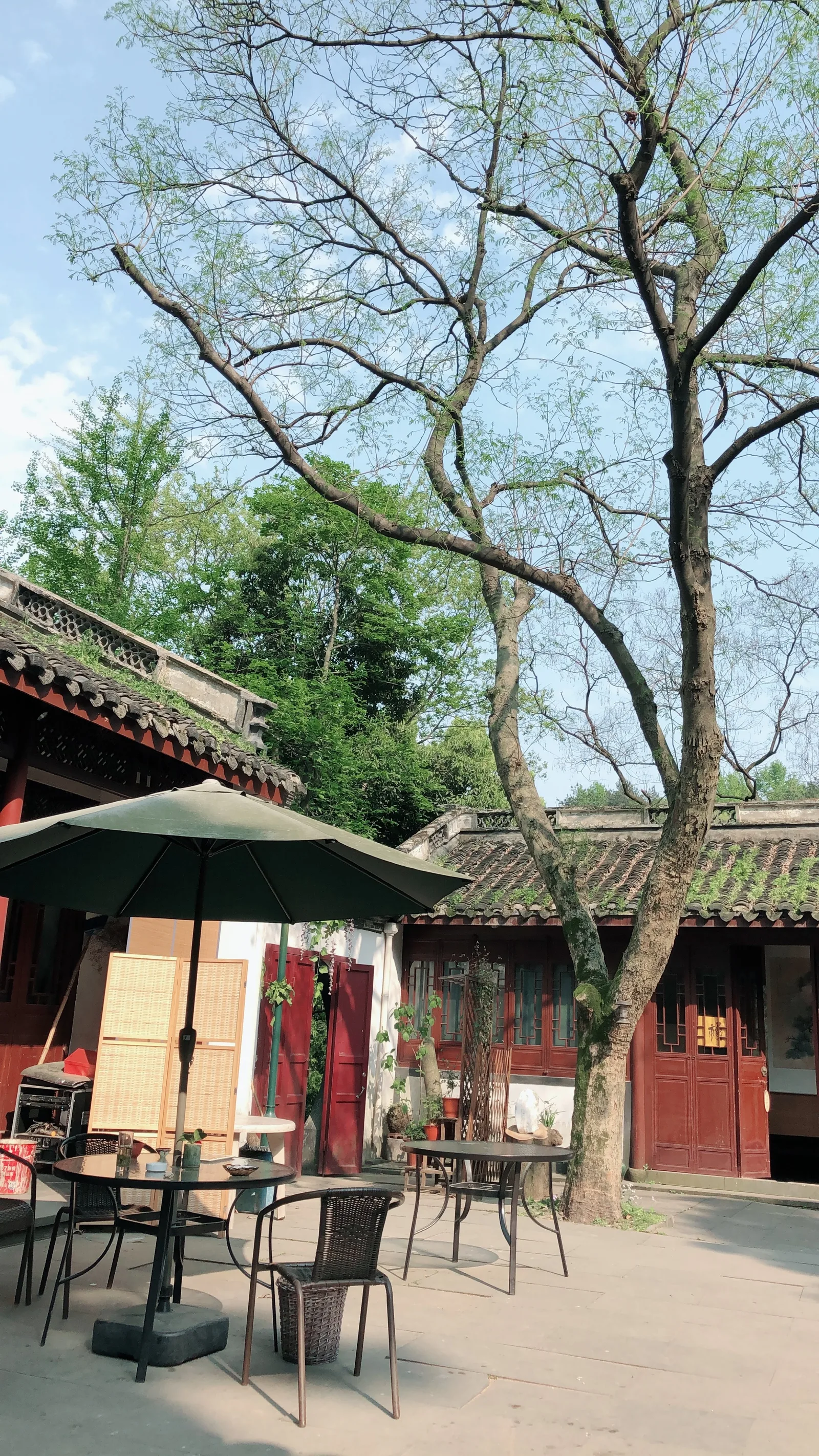 Interior at Yellow Dragon Cave Dressed in Green Hangzhou — travel photo