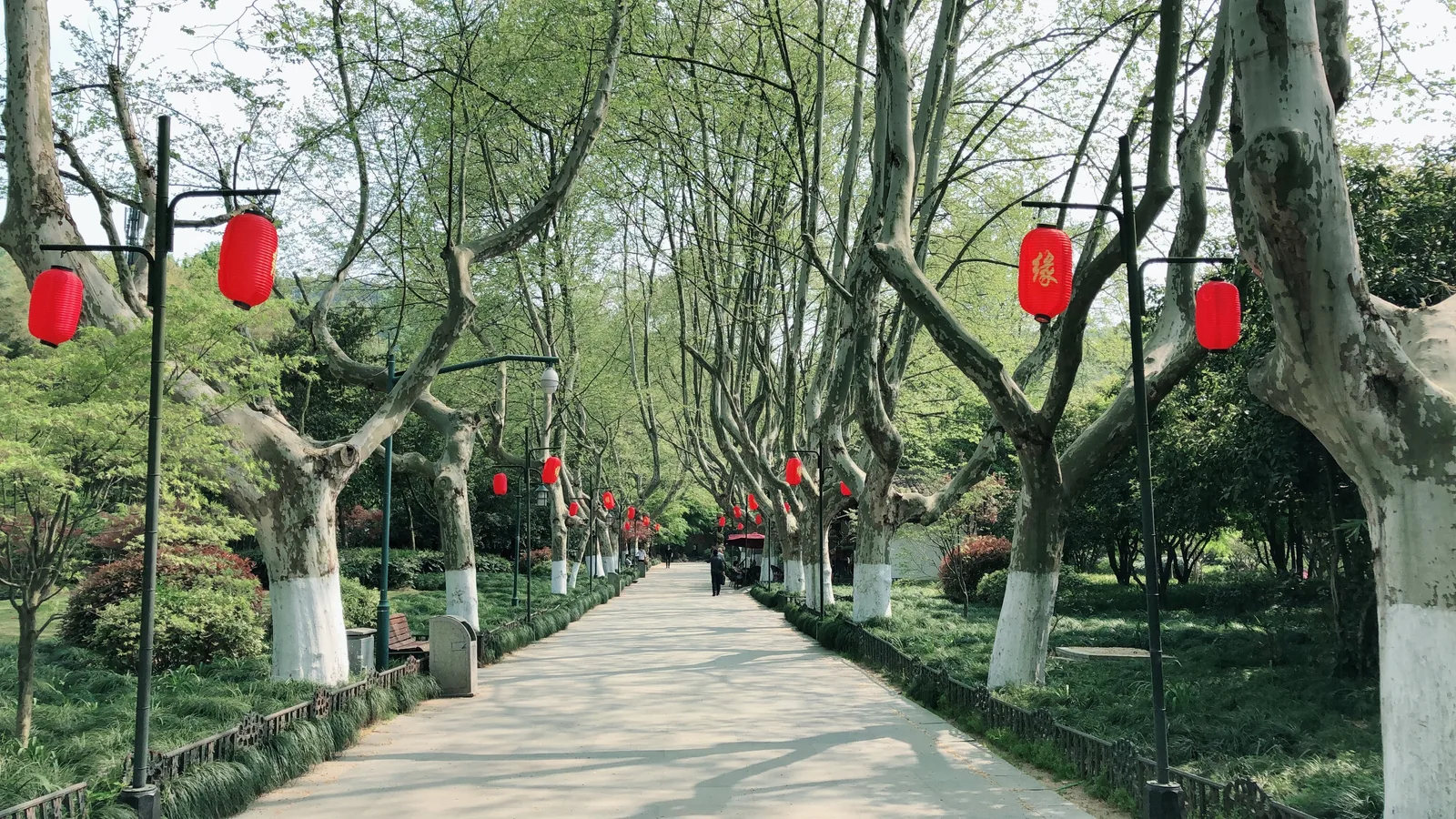 Details at Yellow Dragon Cave Dressed in Green Hangzhou — travel photo