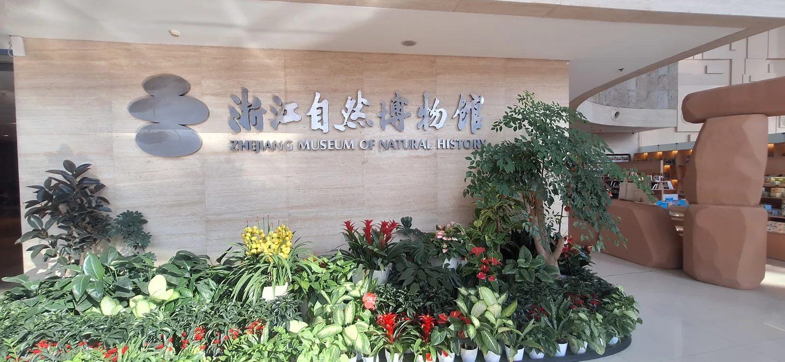 Main view at Zhejiang Museum of Natural History Hangzhou — travel photo