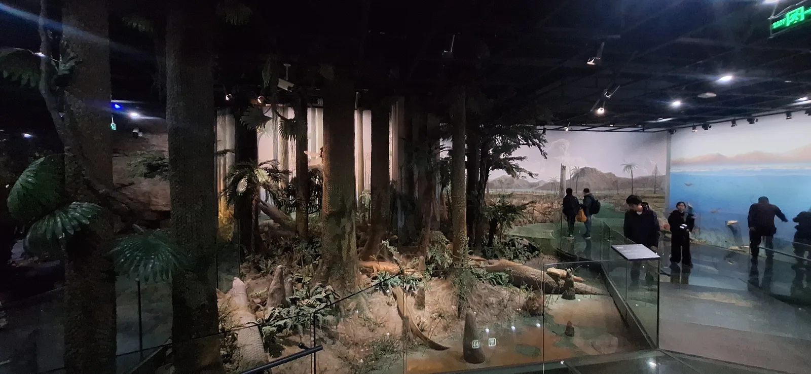 Interior at Zhejiang Museum of Natural History Hangzhou — travel photo