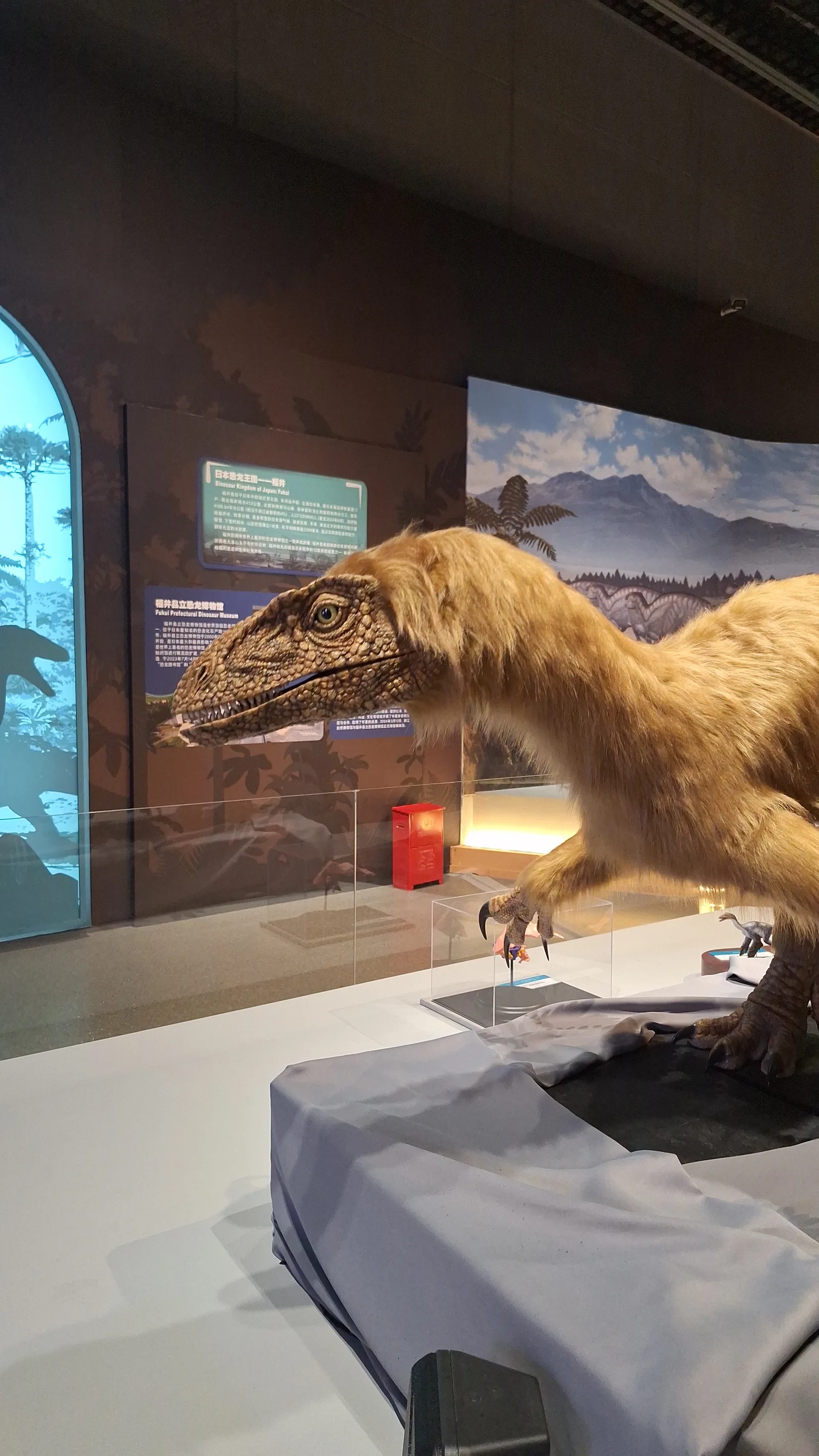 Details at Zhejiang Museum of Natural History Hangzhou — travel photo