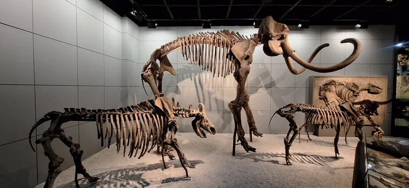 Zhejiang Museum of Natural History — history museum in Hangzhou
