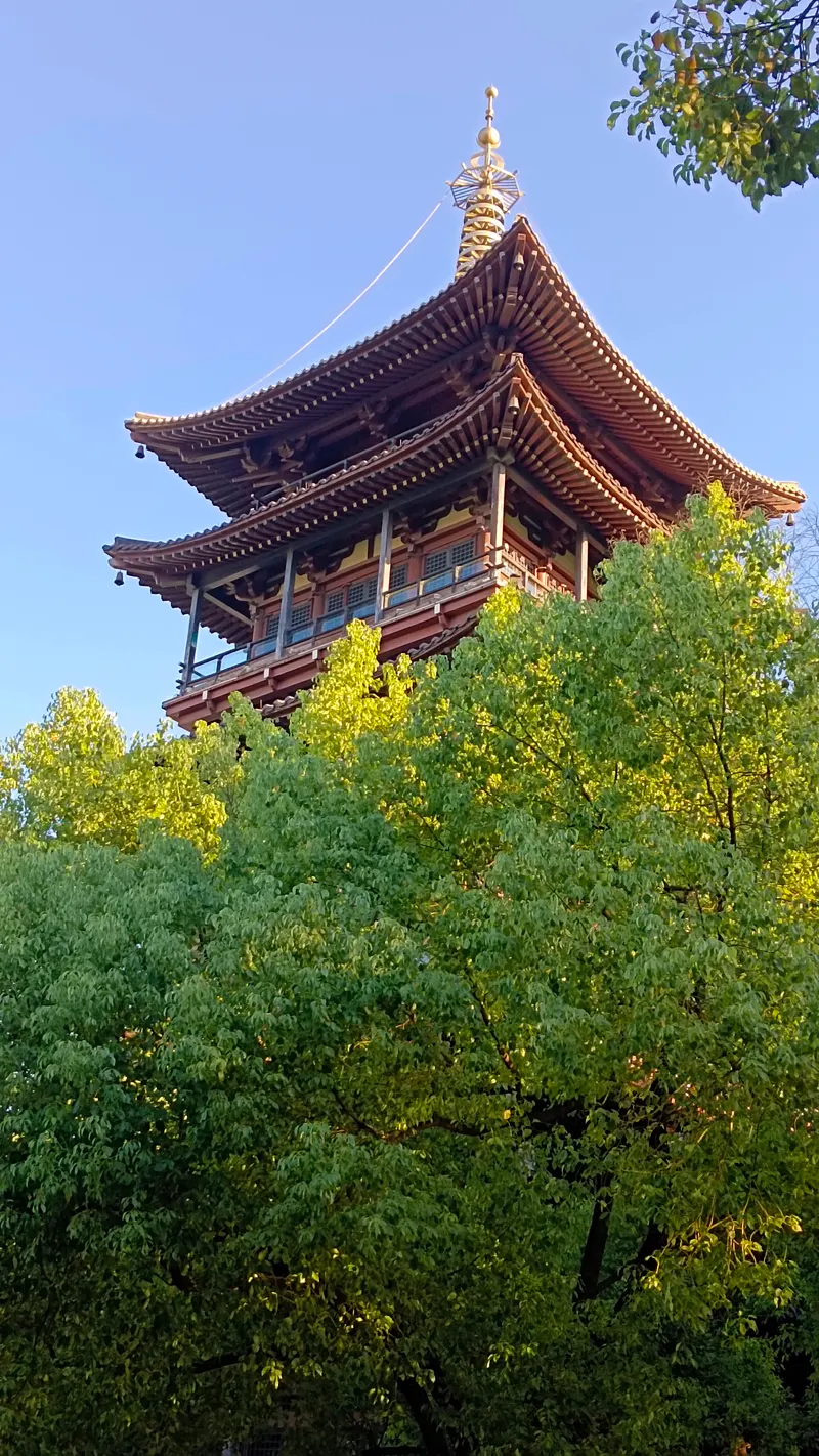 Zhejiang People's Great Hall — history museum in Hangzhou