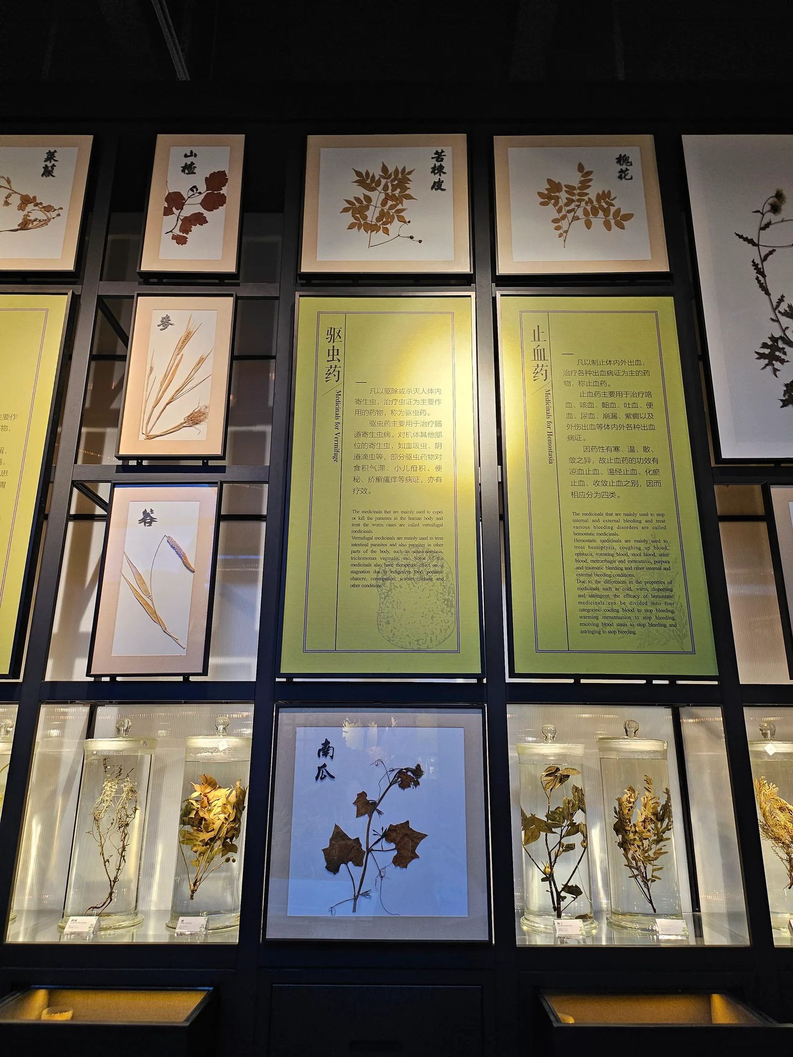 Main view at Zhejiang Traditional Chinese Medicine Museum Hangzhou — travel photo