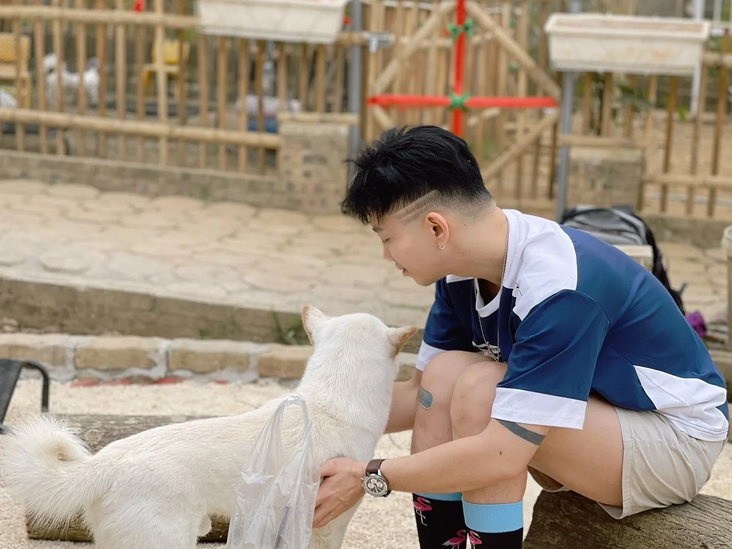 Details at BarkPark Hanoi Hanoi — travel photo