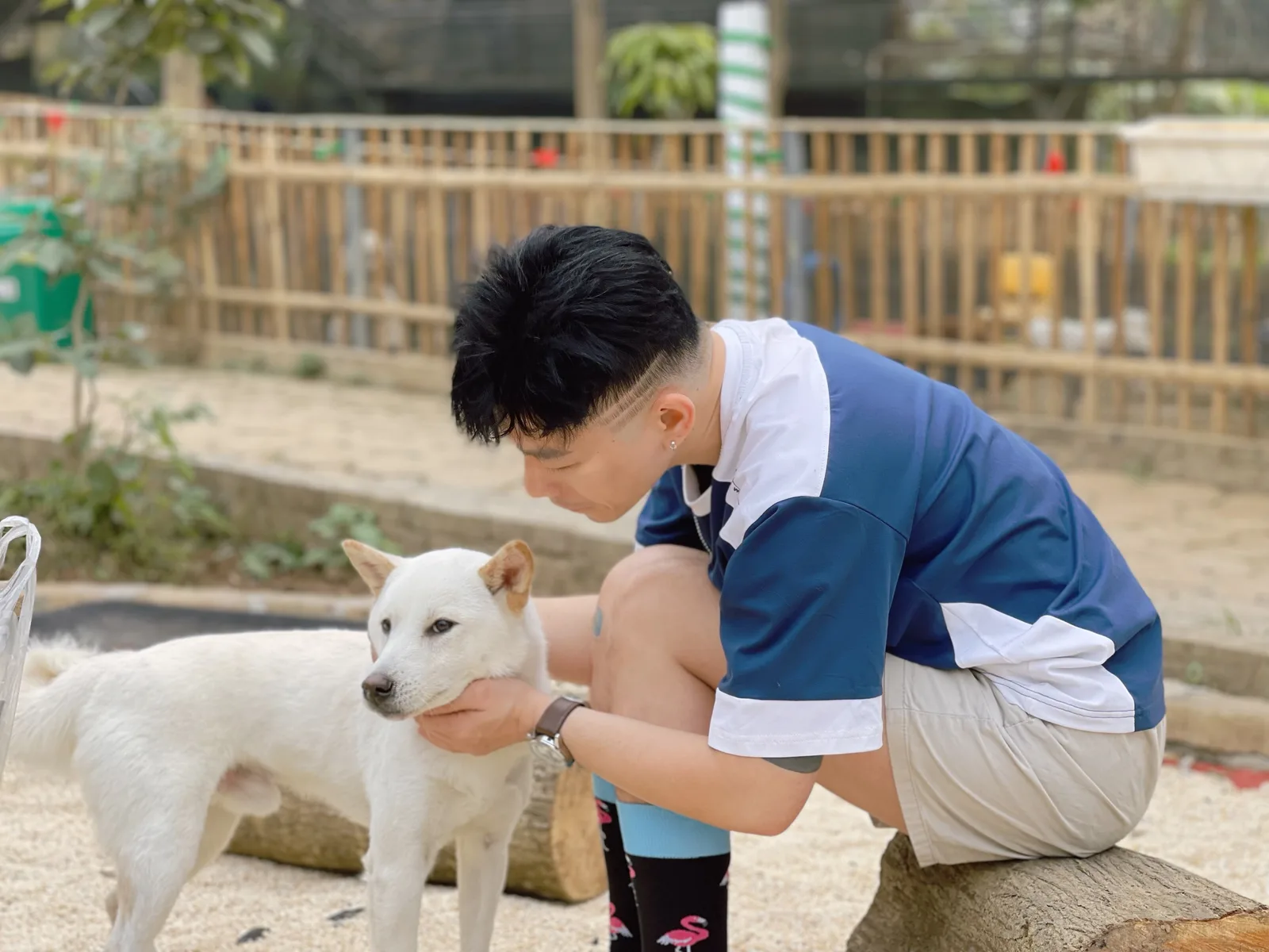 Atmosphere at BarkPark Hanoi Hanoi — travel photo