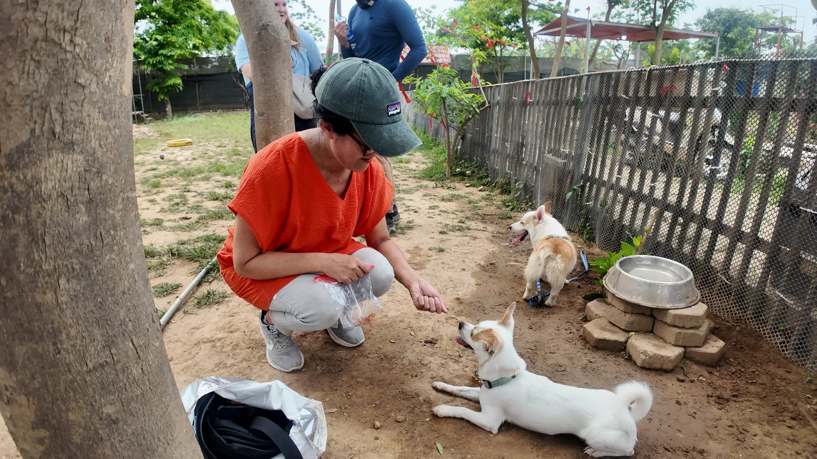 BarkPark Hanoi — budget guide Hanoi