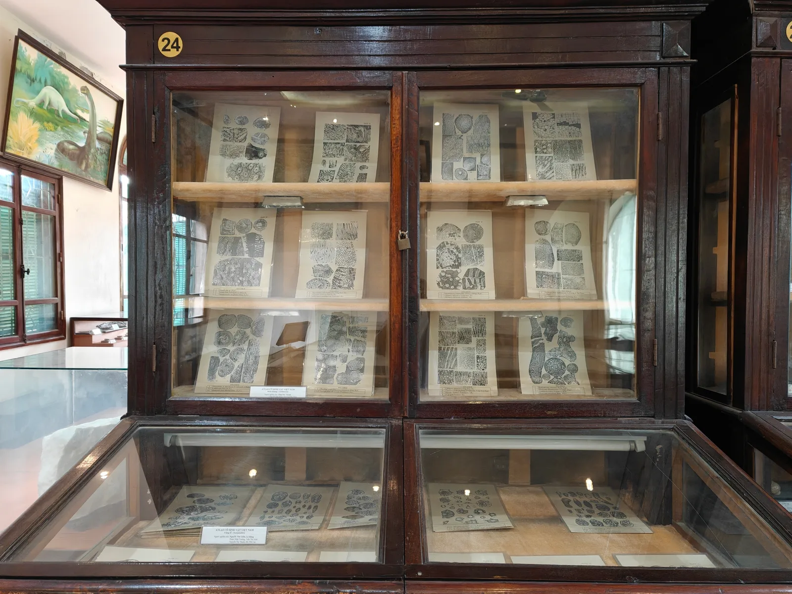 Interior at Geology Museum Hanoi — travel photo