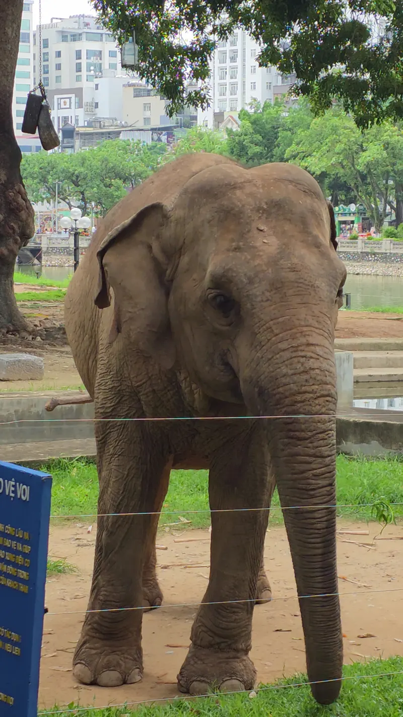 Hanoi Zoo in Hanoi