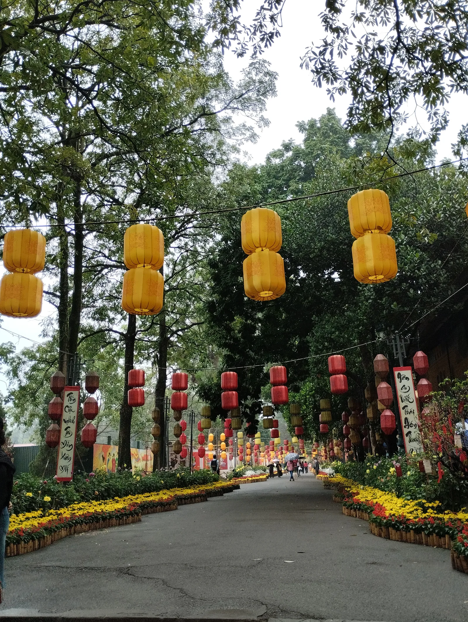 Atmosphere at Imperial Citadel of Thang Long Hanoi — travel photo