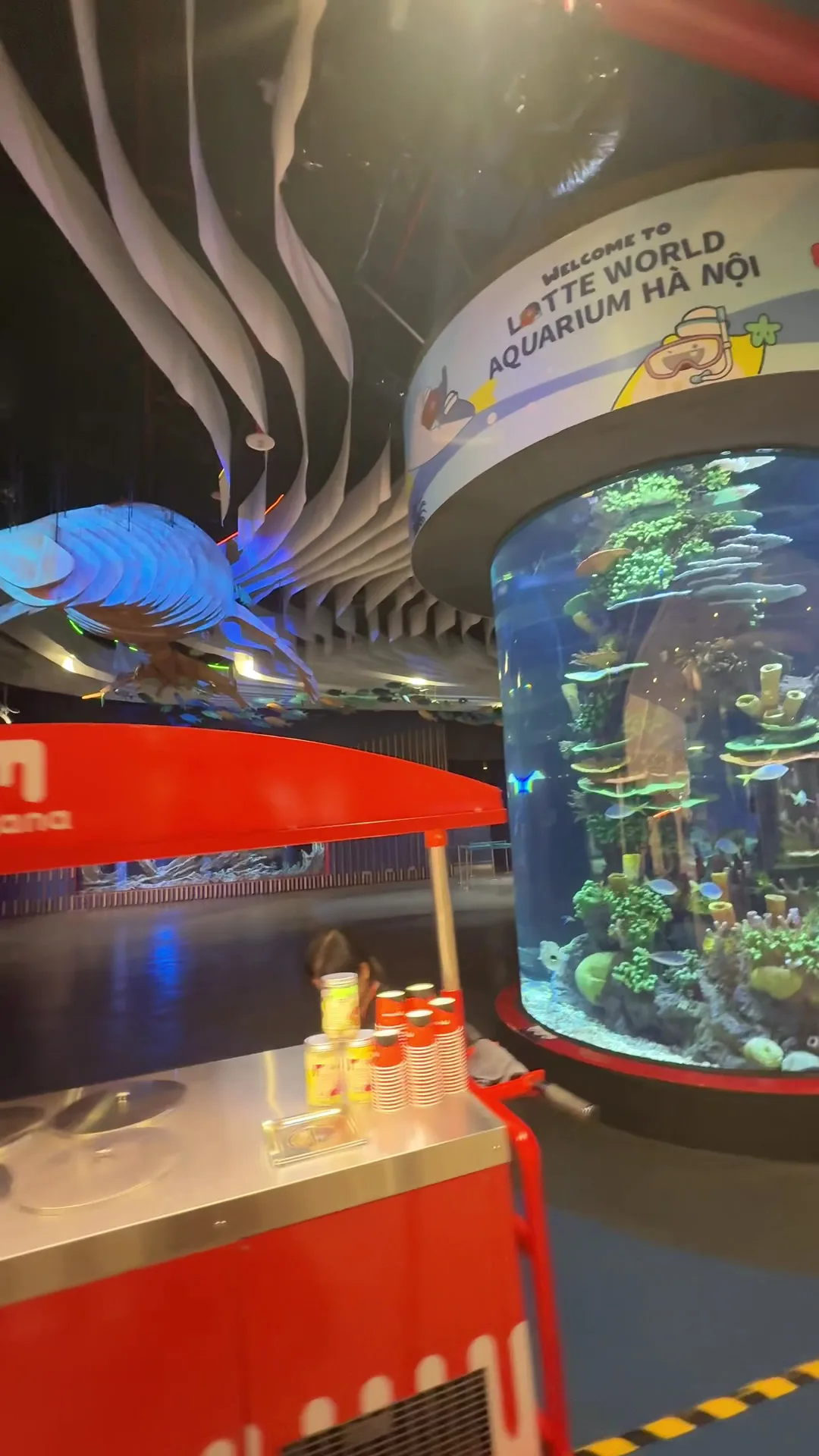 Interior at Lotte World Aquarium Hà Nội Hanoi — travel photo