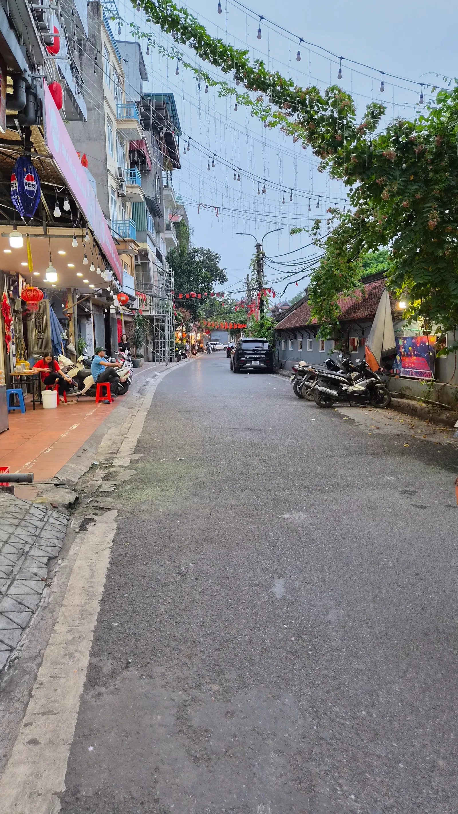Details at Phủ Tây Hồ Hanoi — travel photo