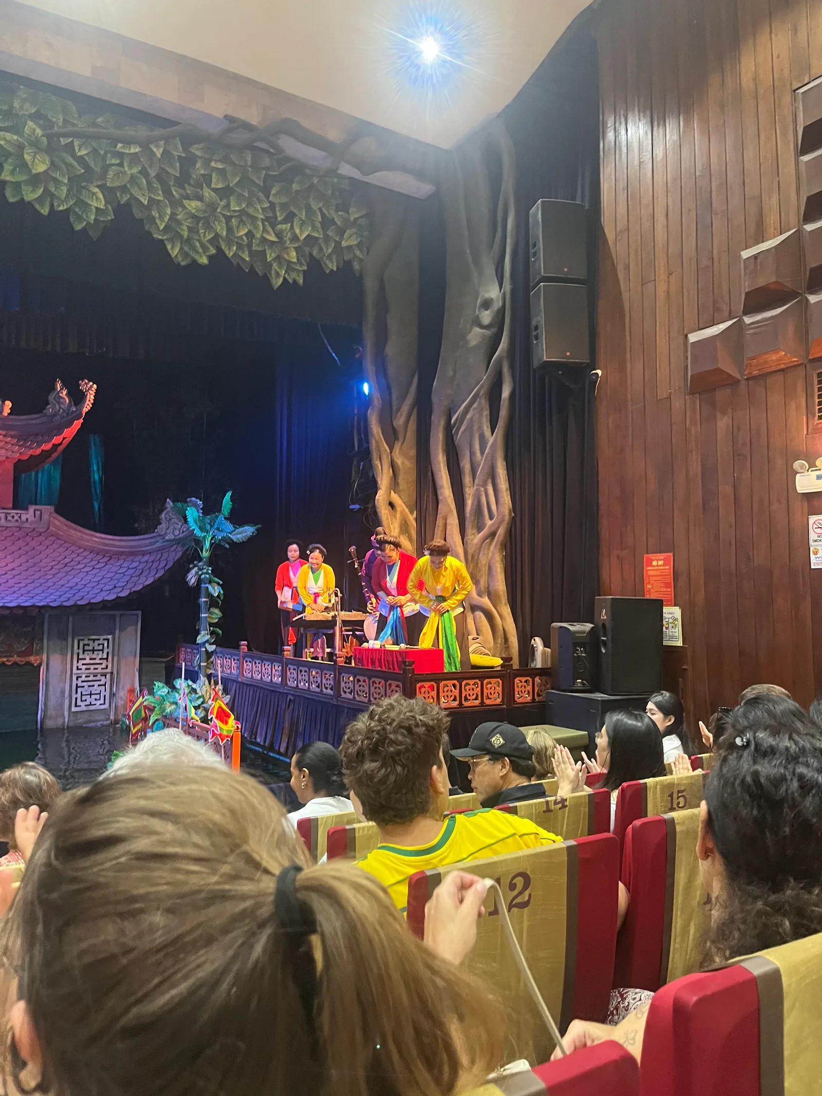 Atmosphere at Thang Long Water Puppet Theatre Hanoi — travel photo