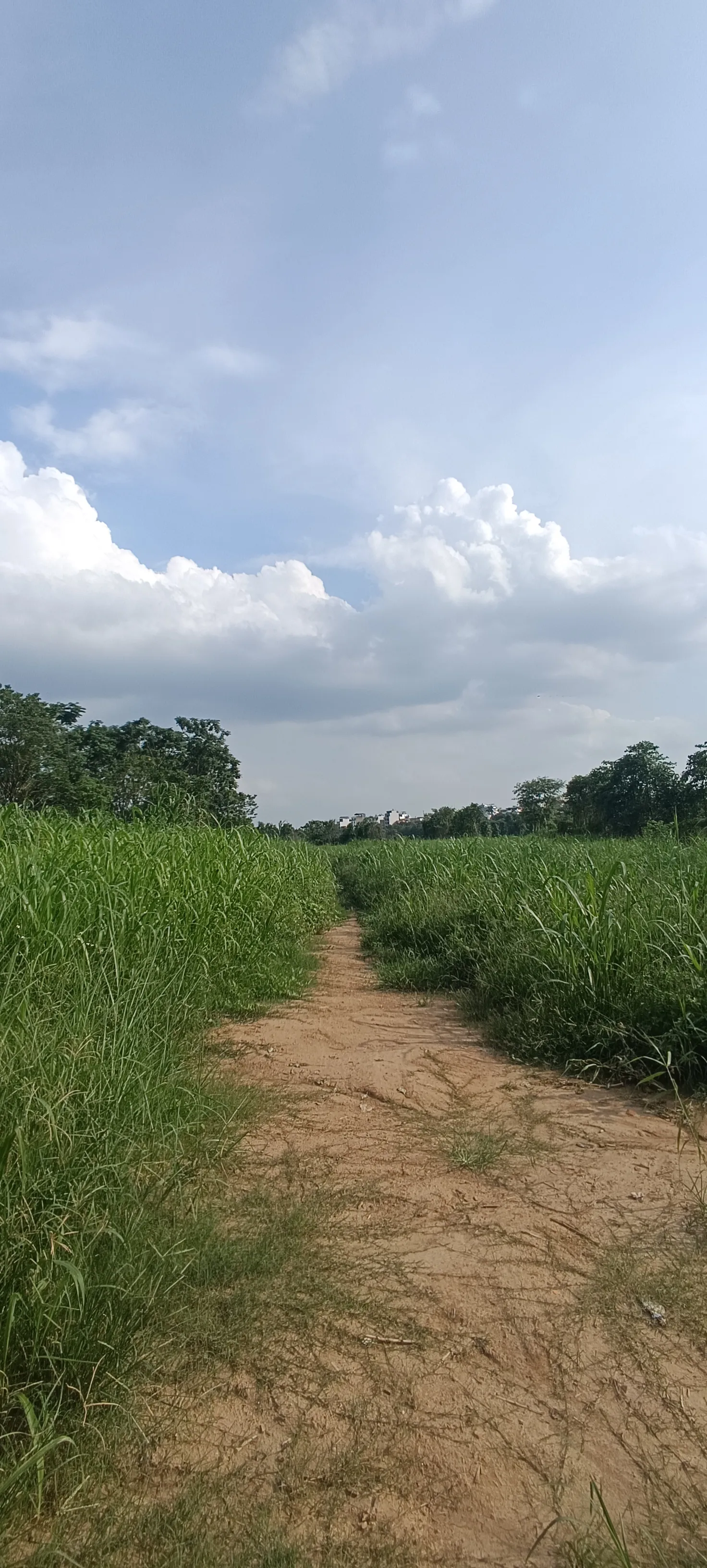 Interior at The Rolling Park Hanoi — travel photo