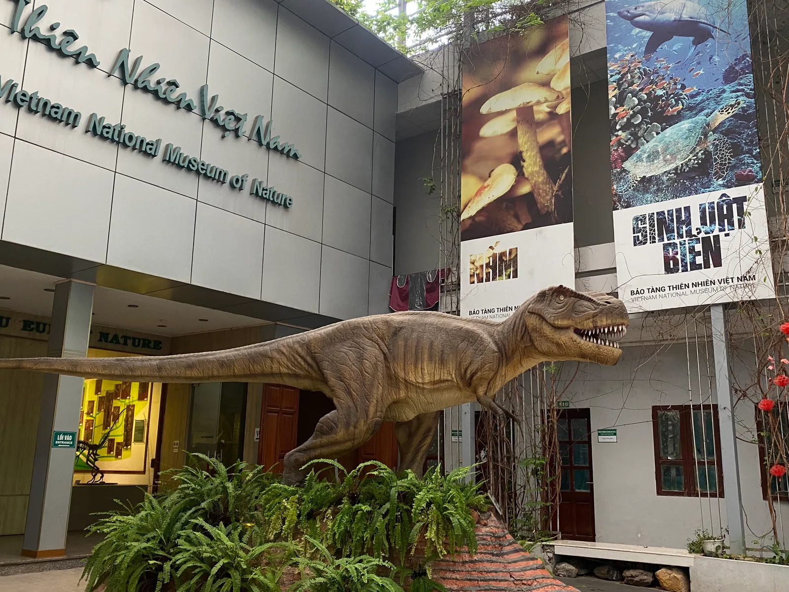 Main view at Vietnam National Museum of Nature Hanoi — travel photo