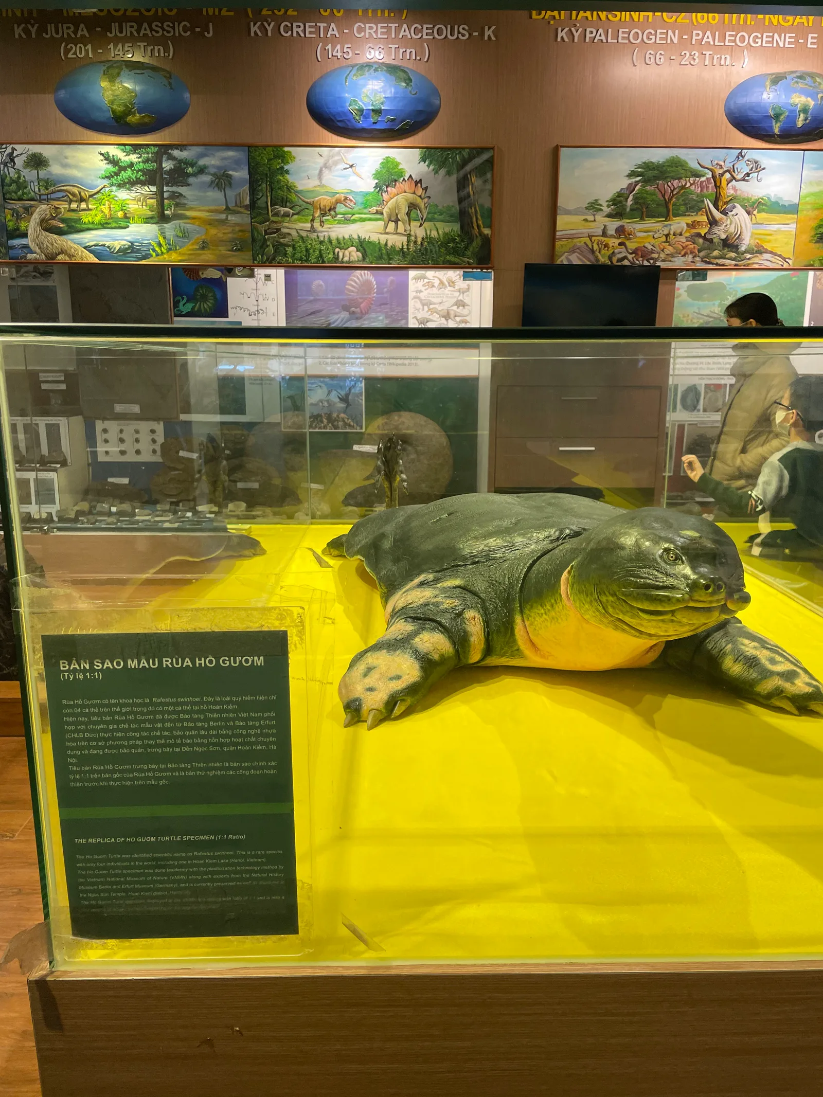 Interior at Vietnam National Museum of Nature Hanoi — travel photo