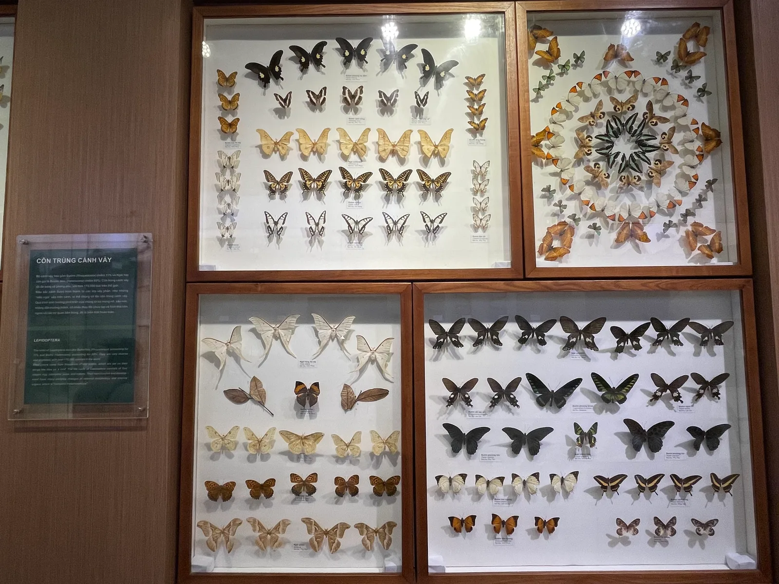Atmosphere at Vietnam National Museum of Nature Hanoi — travel photo