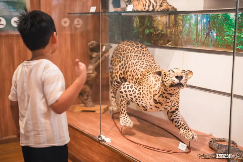 Vietnam National Museum of Nature in Hanoi